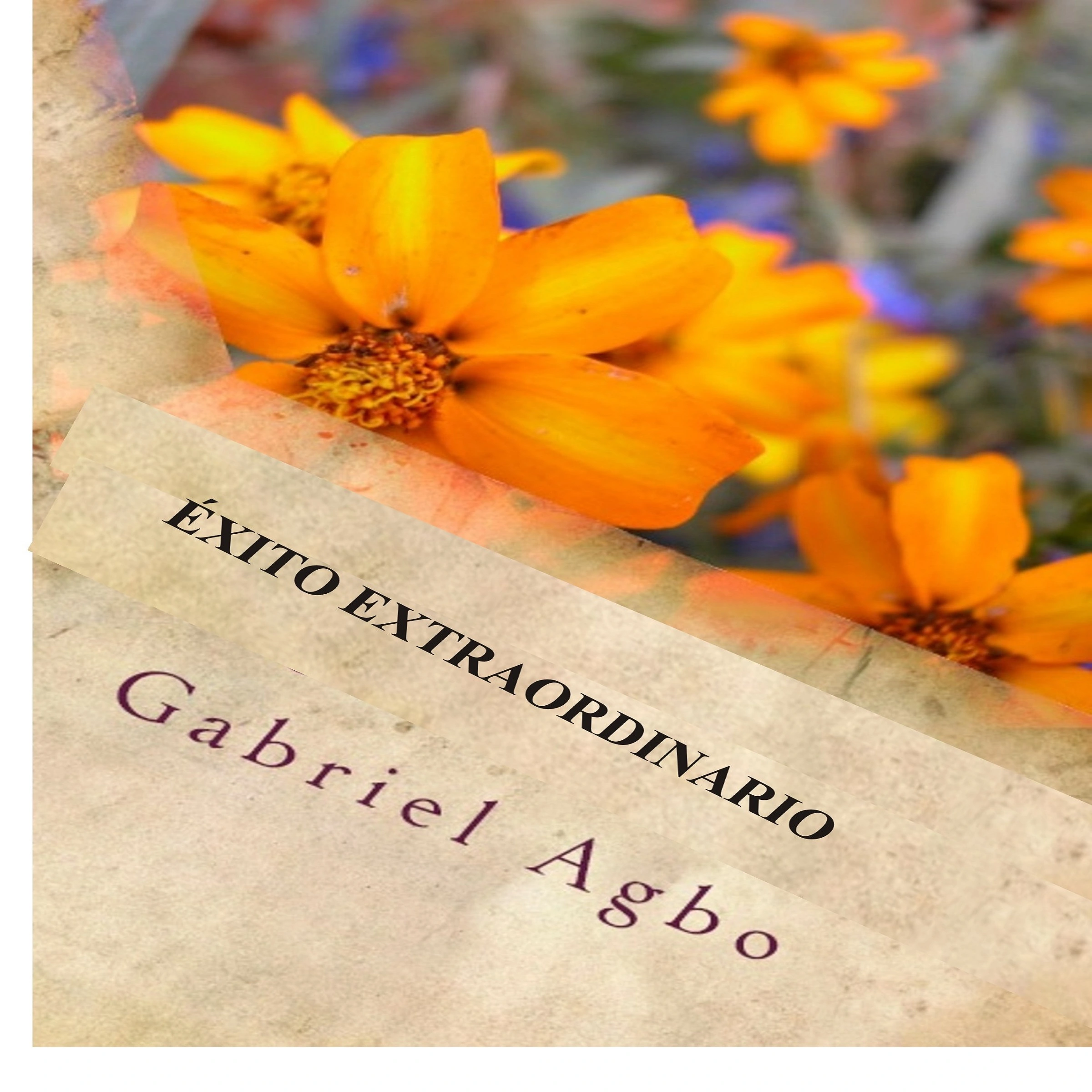 ÉXITO EXTRAORDINARIO Audiobook by Gabriel  Agbo