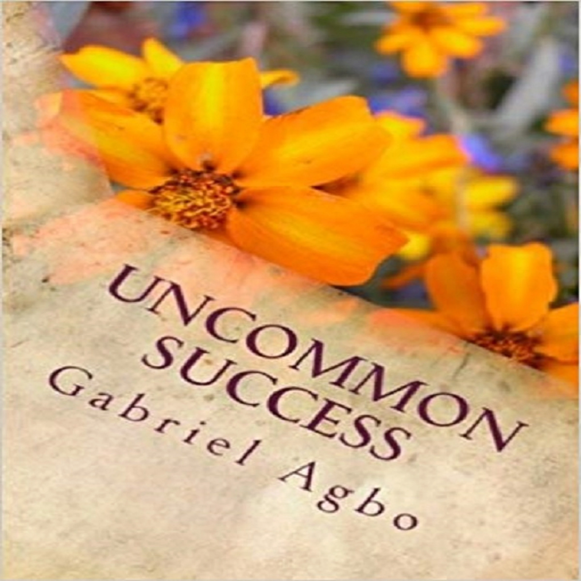 Uncommon Success Audiobook by Gabriel  Agbo