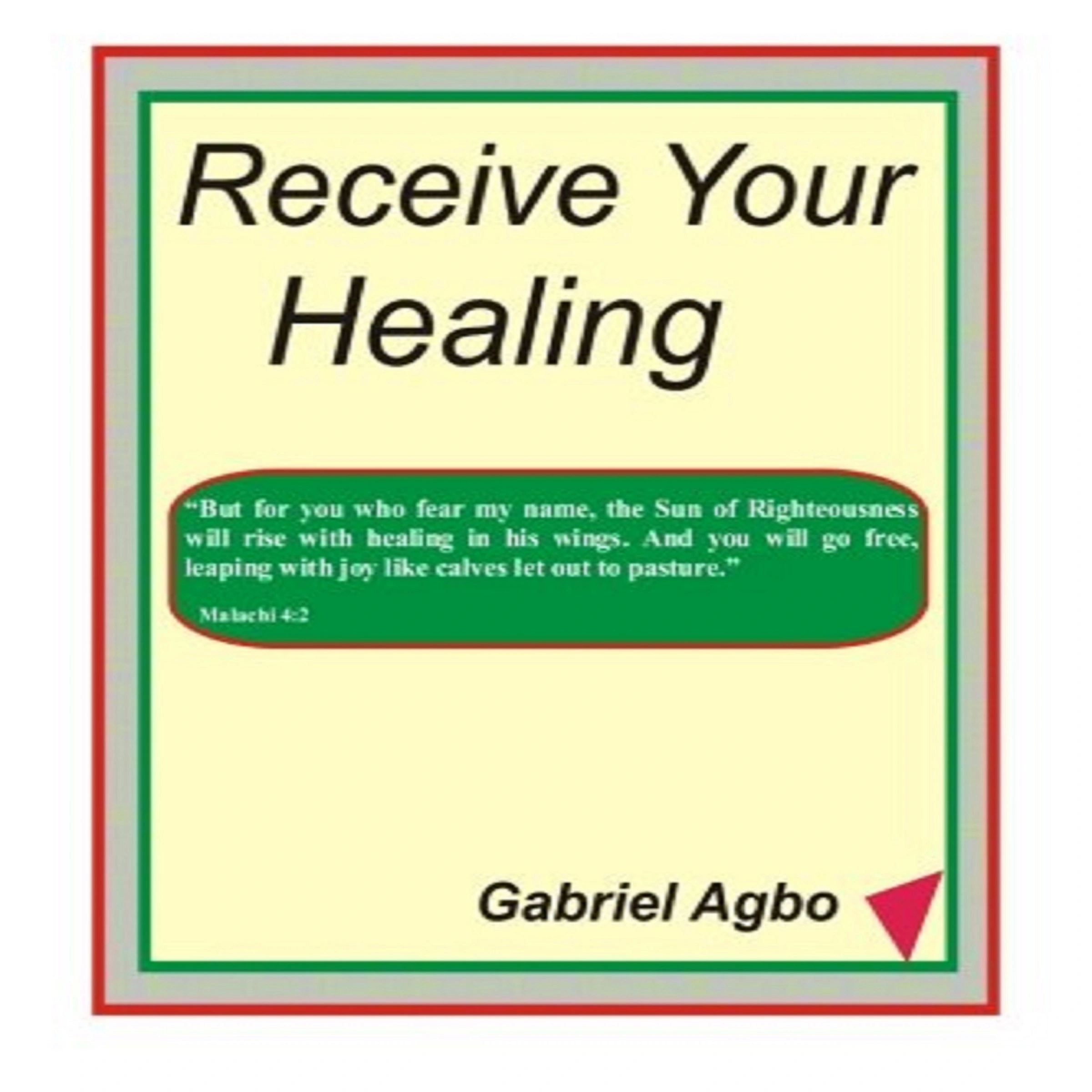 Receive Your Healing (English) by Gabriel  Agbo Audiobook