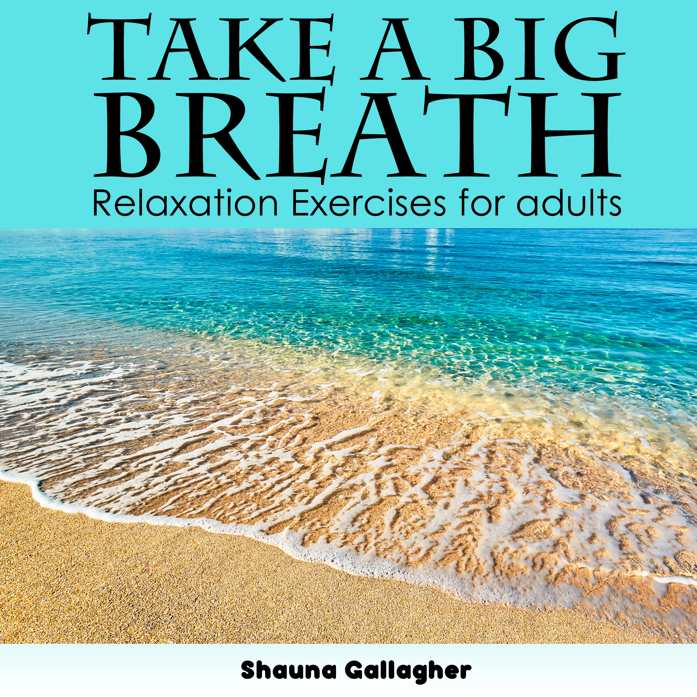 Take A Big Breath For Adults Audiobook by Shauna Gallagher