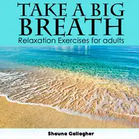 Take A Big Breath For Adults Audiobook by Shauna Gallagher