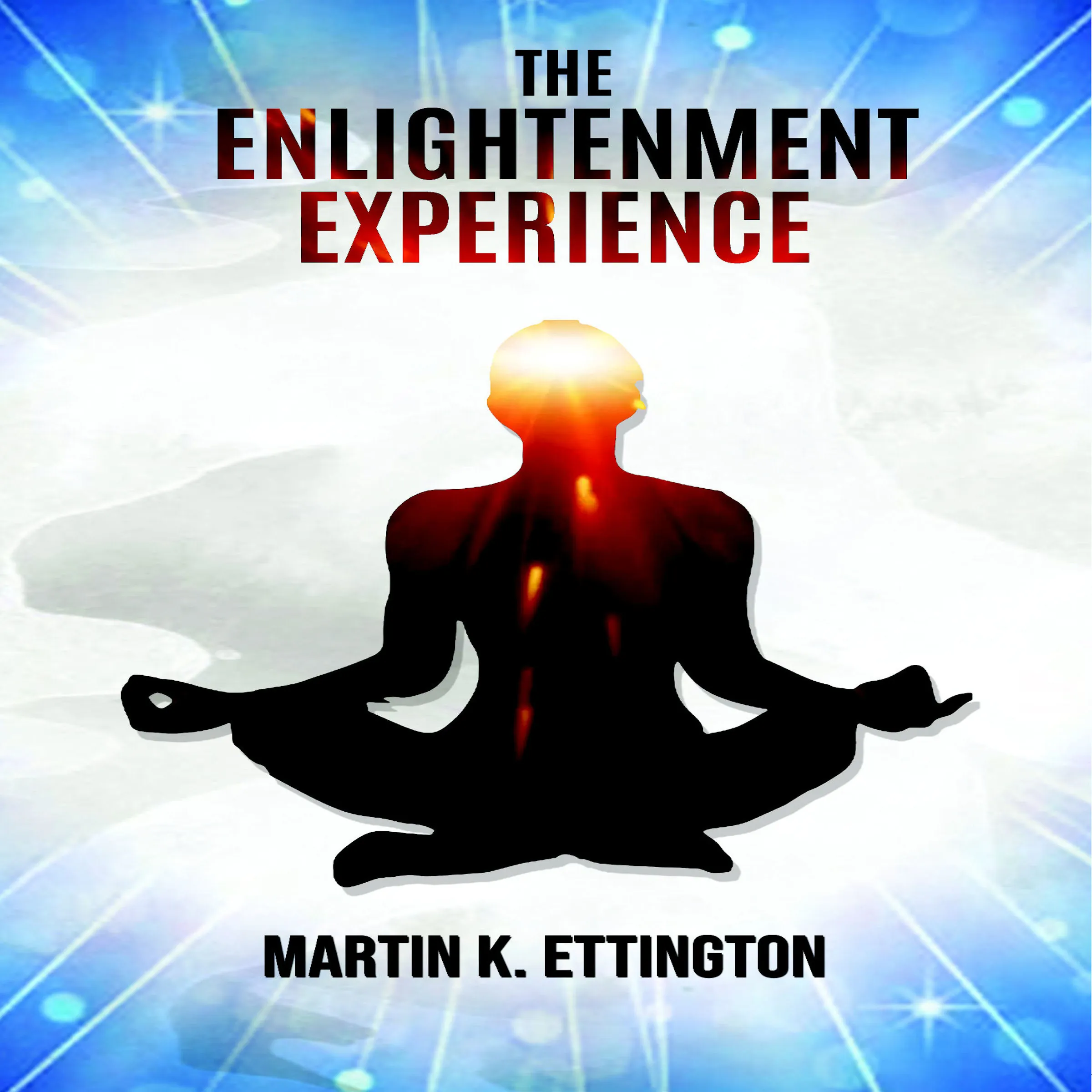 The Enlightenment Experience by Martin K. Ettington Audiobook