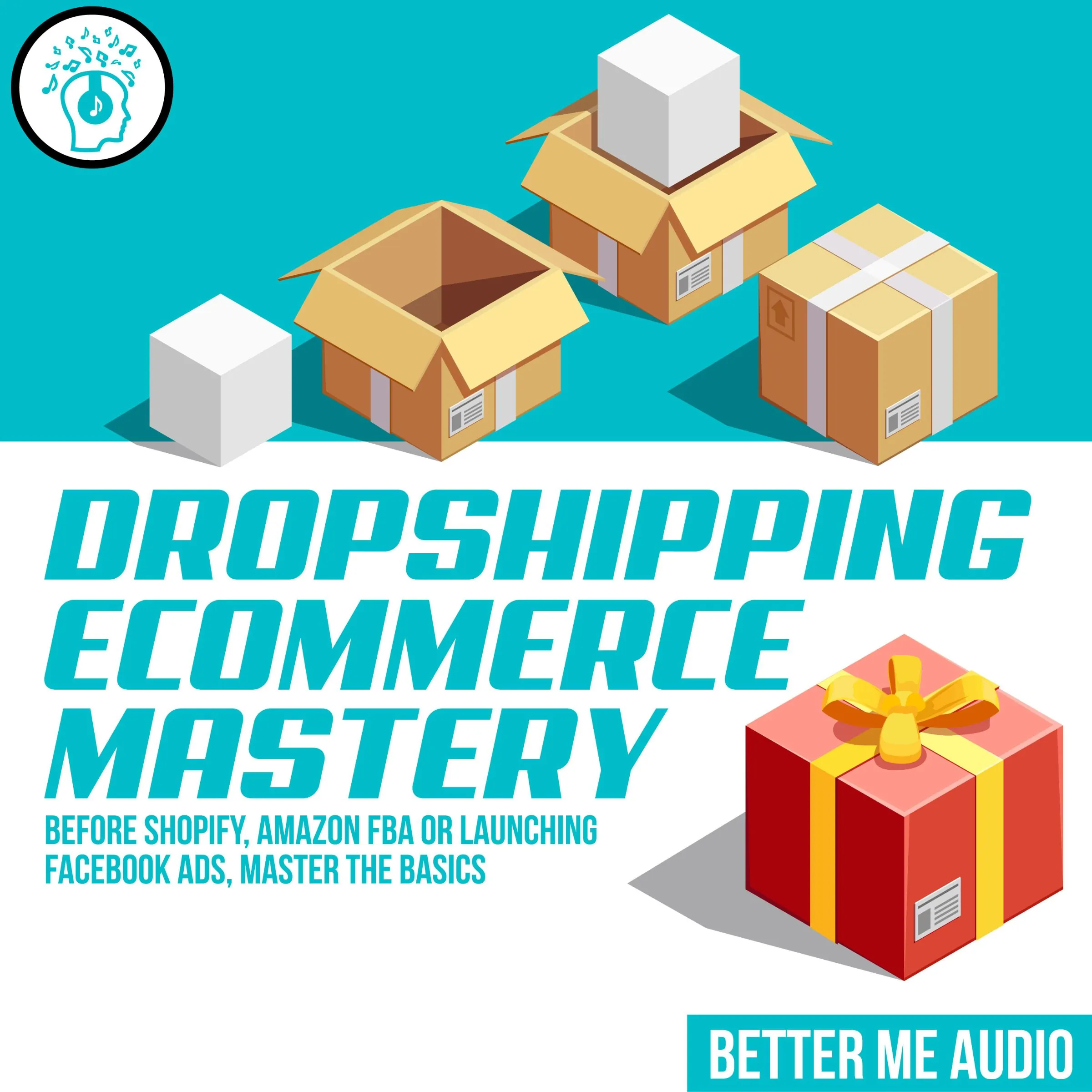 Dropshipping Ecommerce Mastery: Before Shopify, Amazon FBA or Launching Facebook Ads, Master the Basics by Better Me Audio