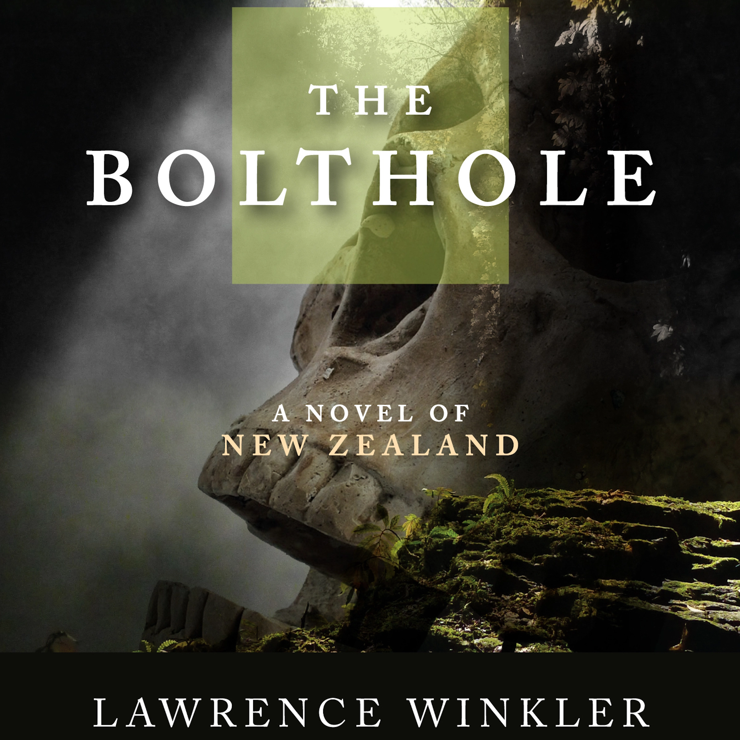 The Bolthole by Lawrence Winkler