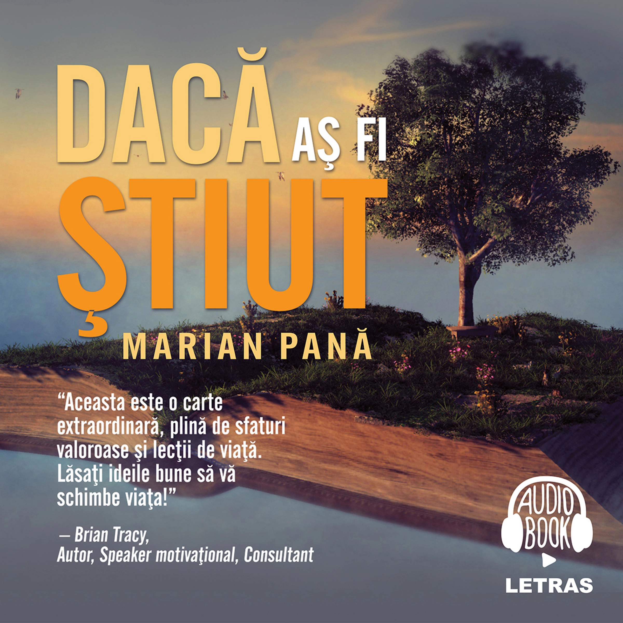 Daca as fi stiut Audiobook by Marian Pana