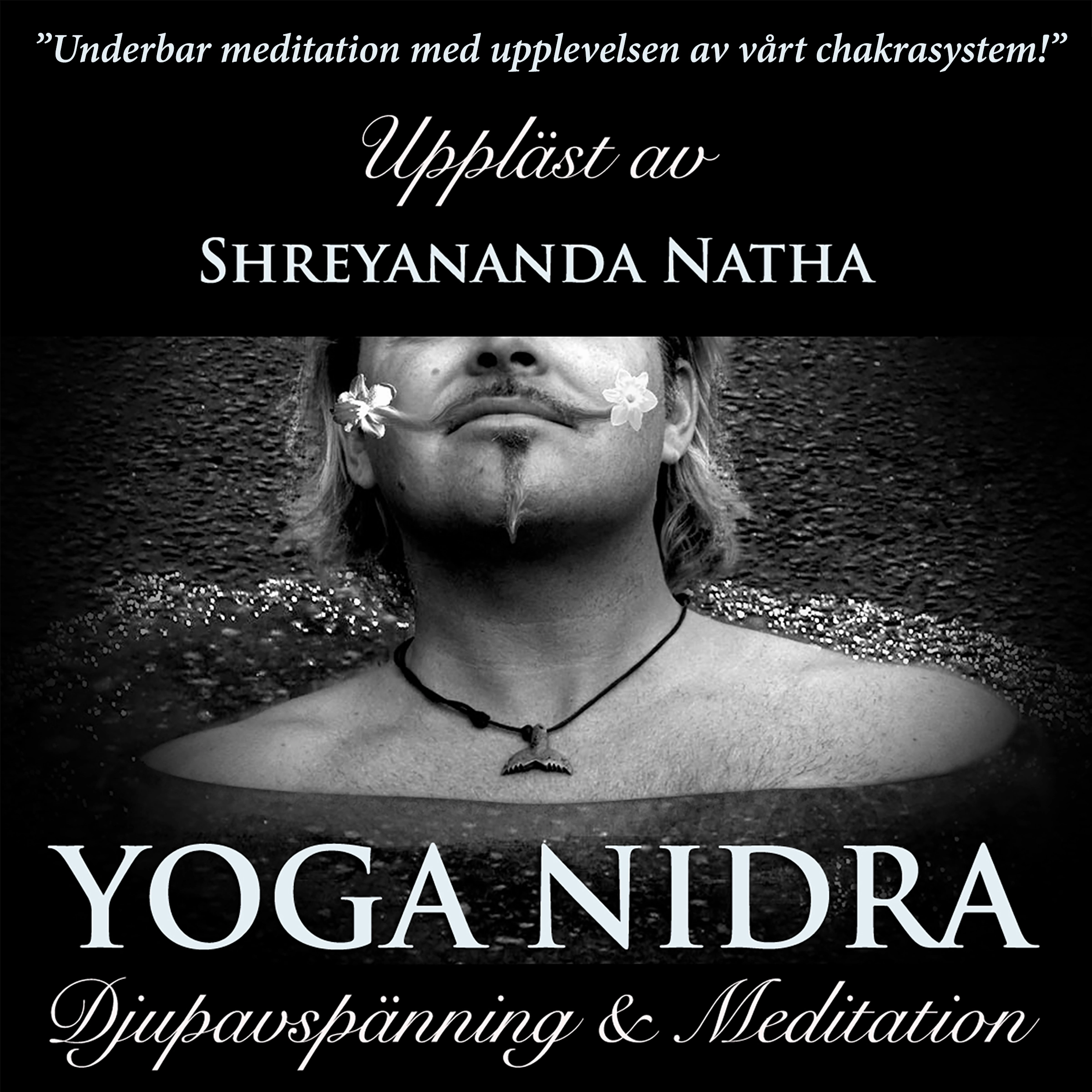 Yoga Nidra by Shreyananda Natha Audiobook