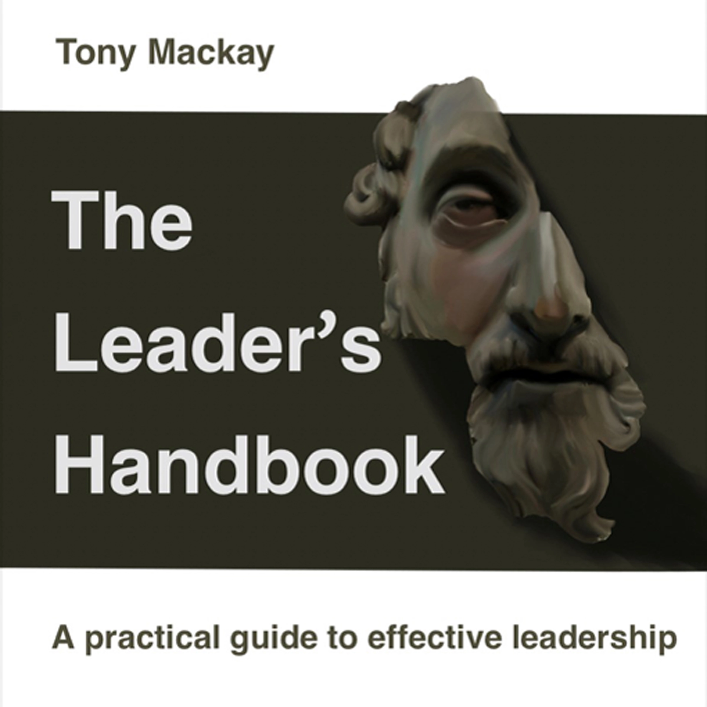 The Leader's Handbook by Tony Mackay Audiobook