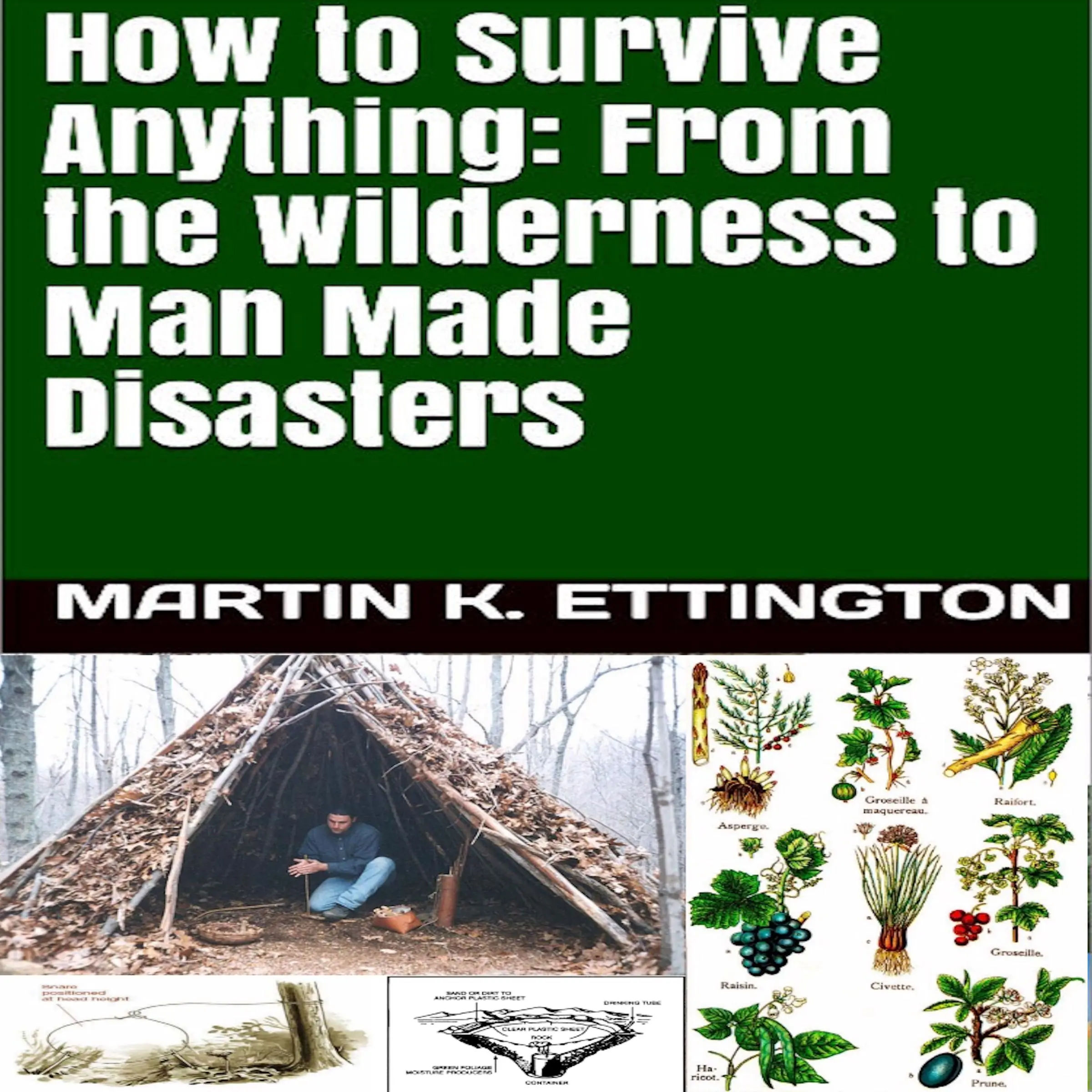 How to Survive Anything: From the Wilderness to Man Made Disasters by Martin K. Ettington Audiobook