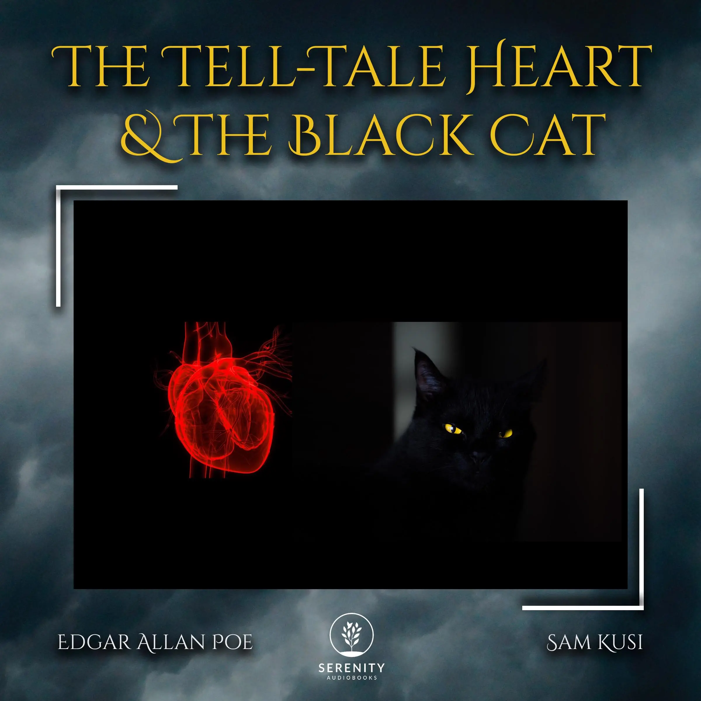 The Tell-Tale Heart & The Black Cat by Edgar Allan Poe Audiobook