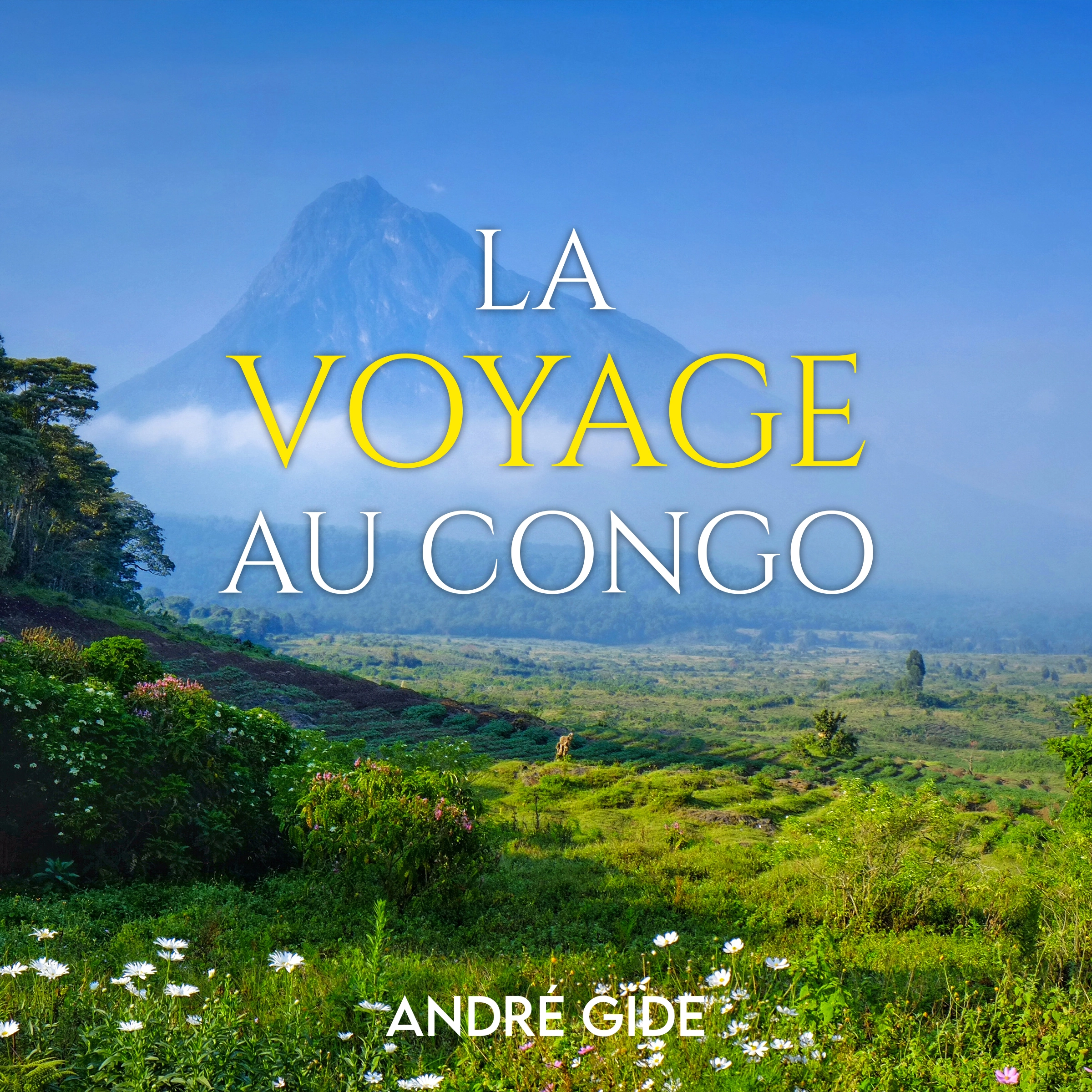 Voyage au Congo by André Gide Audiobook