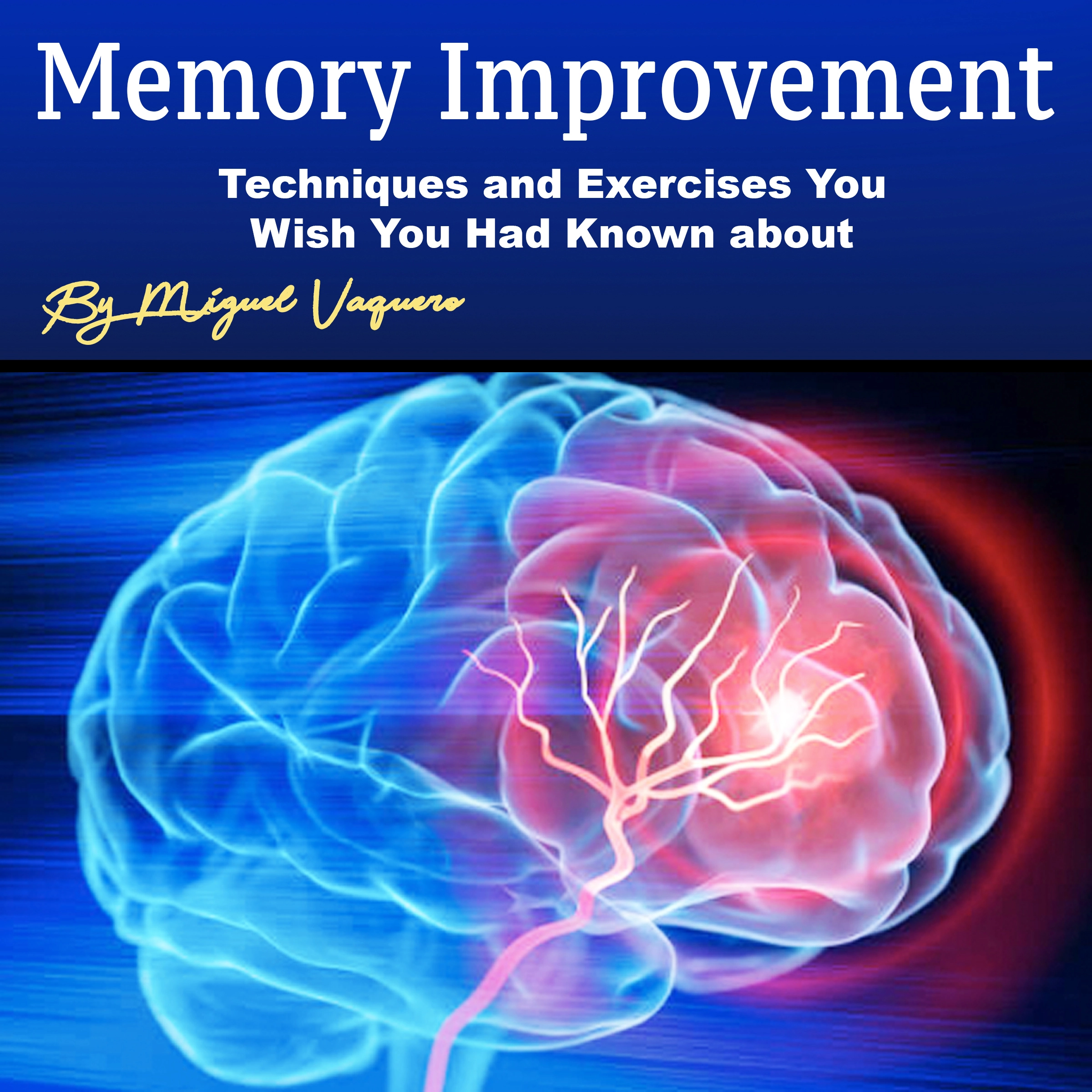 Memory Improvement by Miguel Vaquero