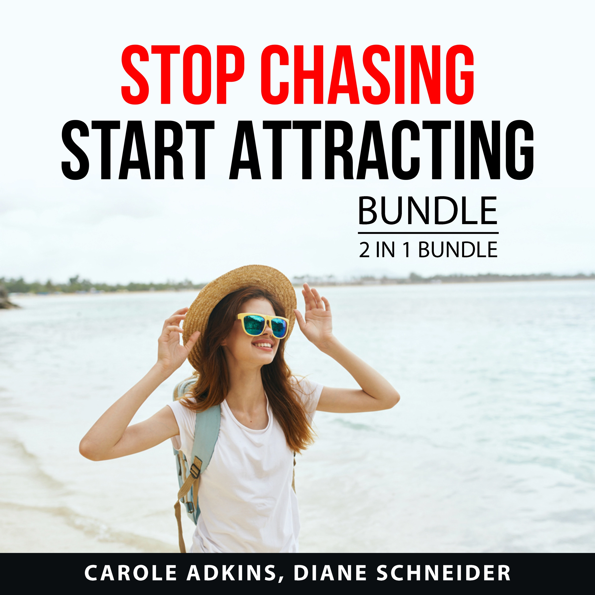 Stop Chasing Start Attracting Bundle, 2 in 1 Bundle by Diane Schneider