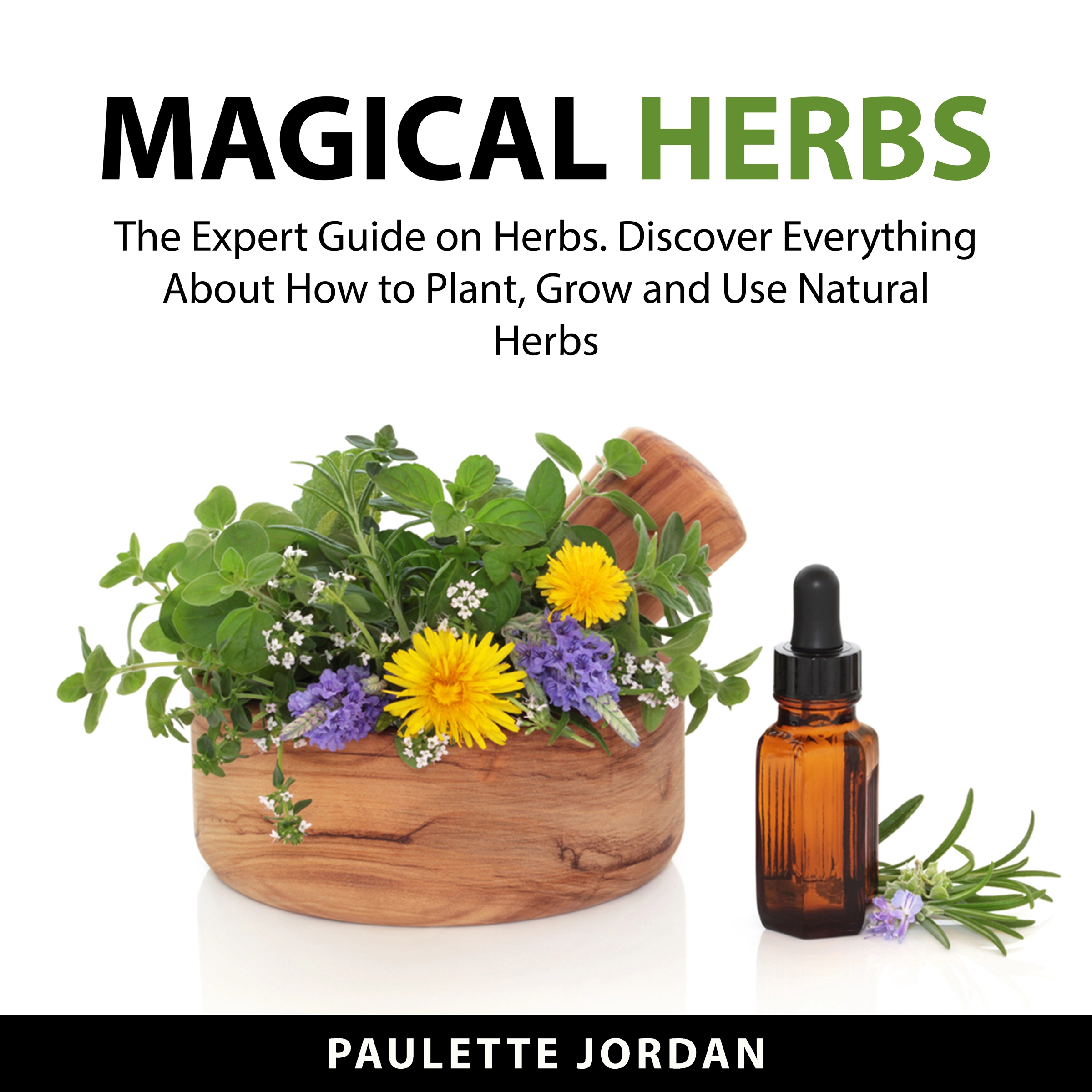 Magical Herbs Audiobook by Paulette Jordan
