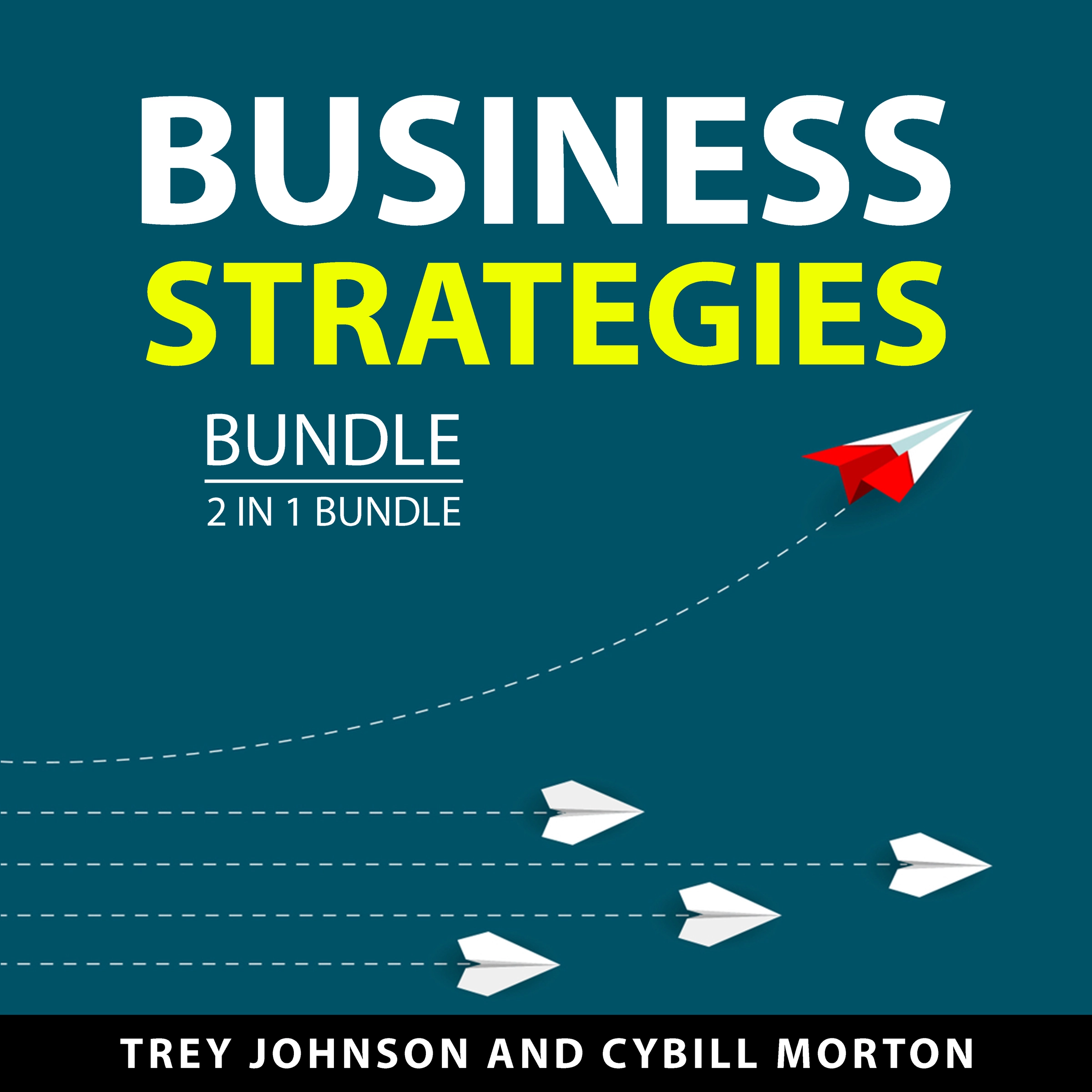 Business Strategies Bundle, 2 in 1 Bundle by Cybill Morton