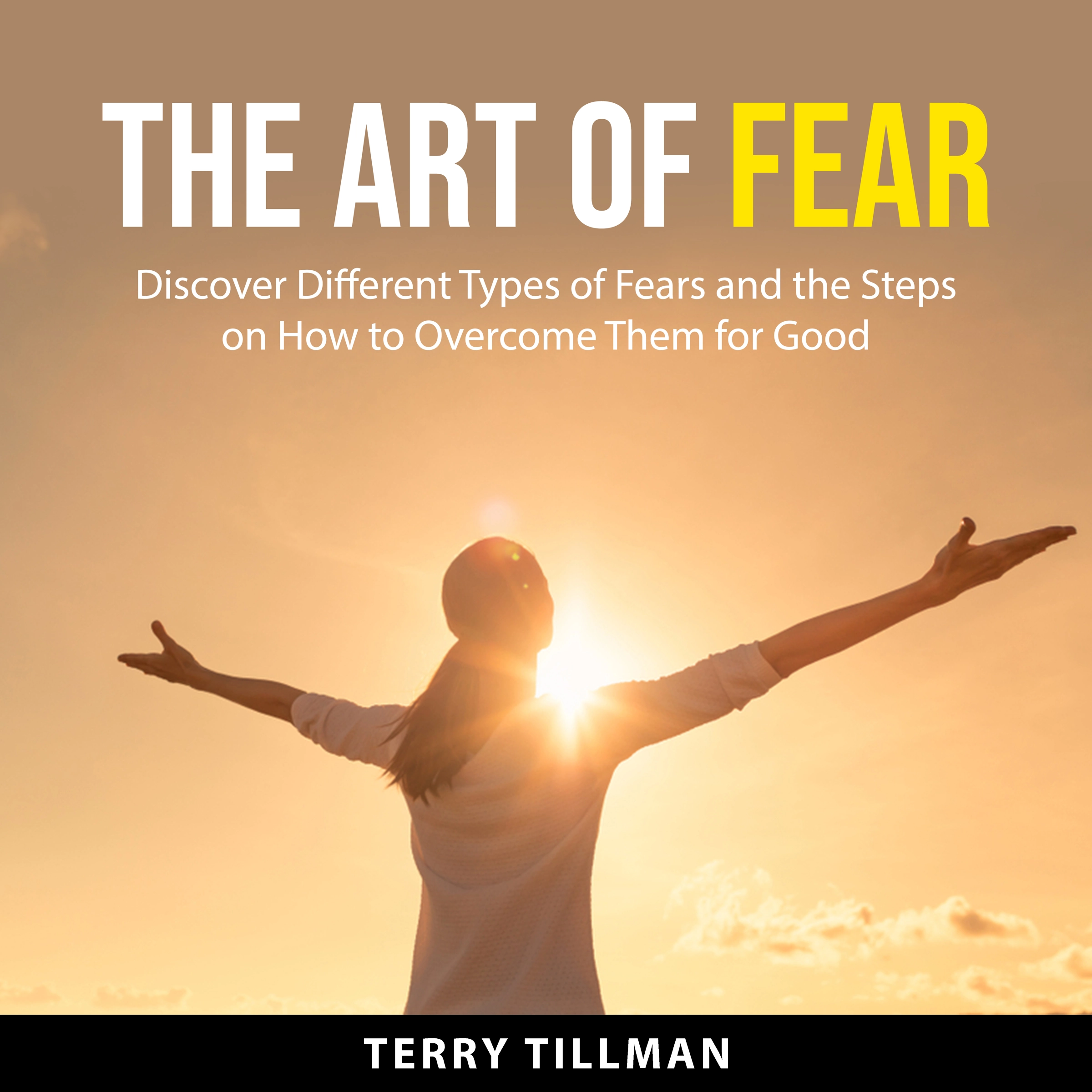 The Art of Fear Audiobook by Terry Tillman