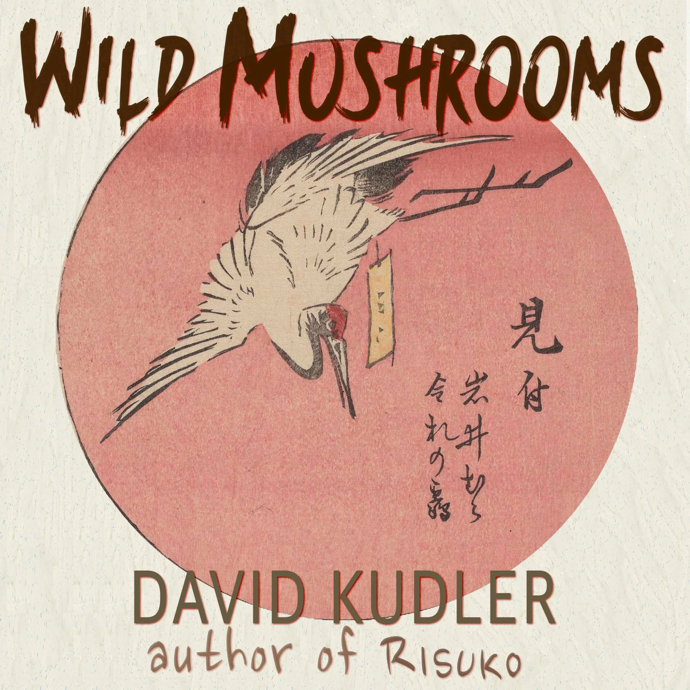 Wild Mushrooms Audiobook by David Kudler