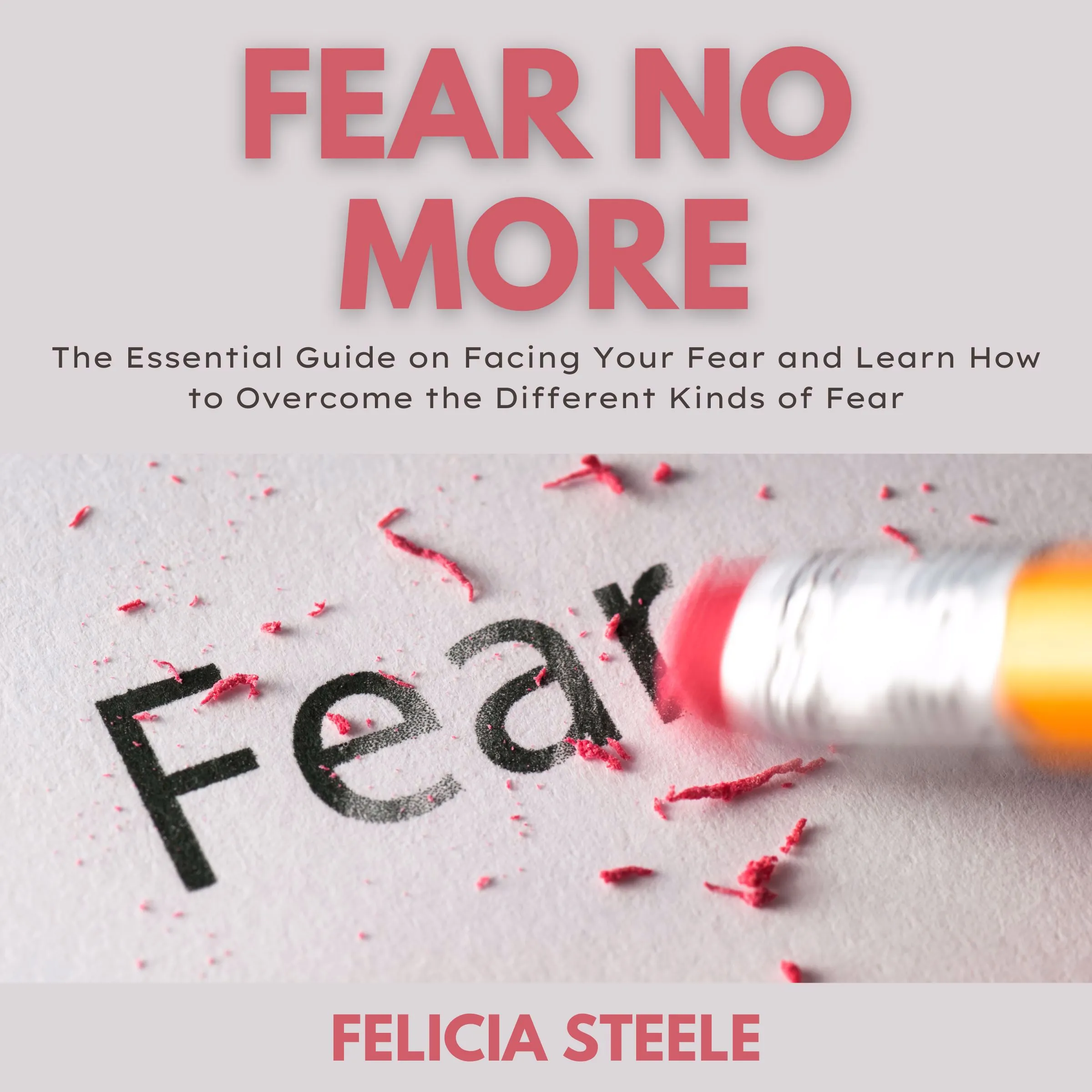 Fear No More by Felicia Steele Audiobook