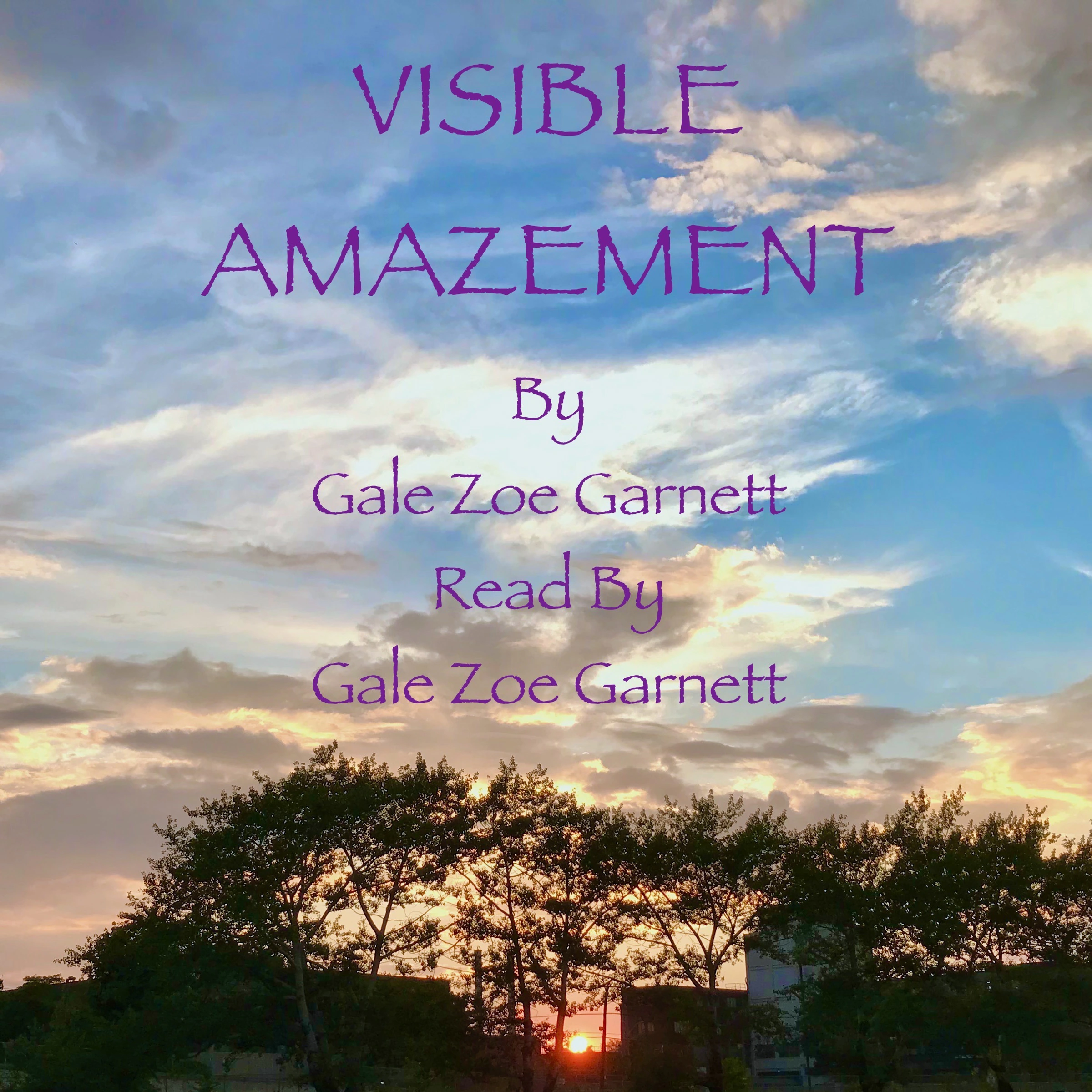 Visible Amazement by Gale Zoë Garnett Audiobook
