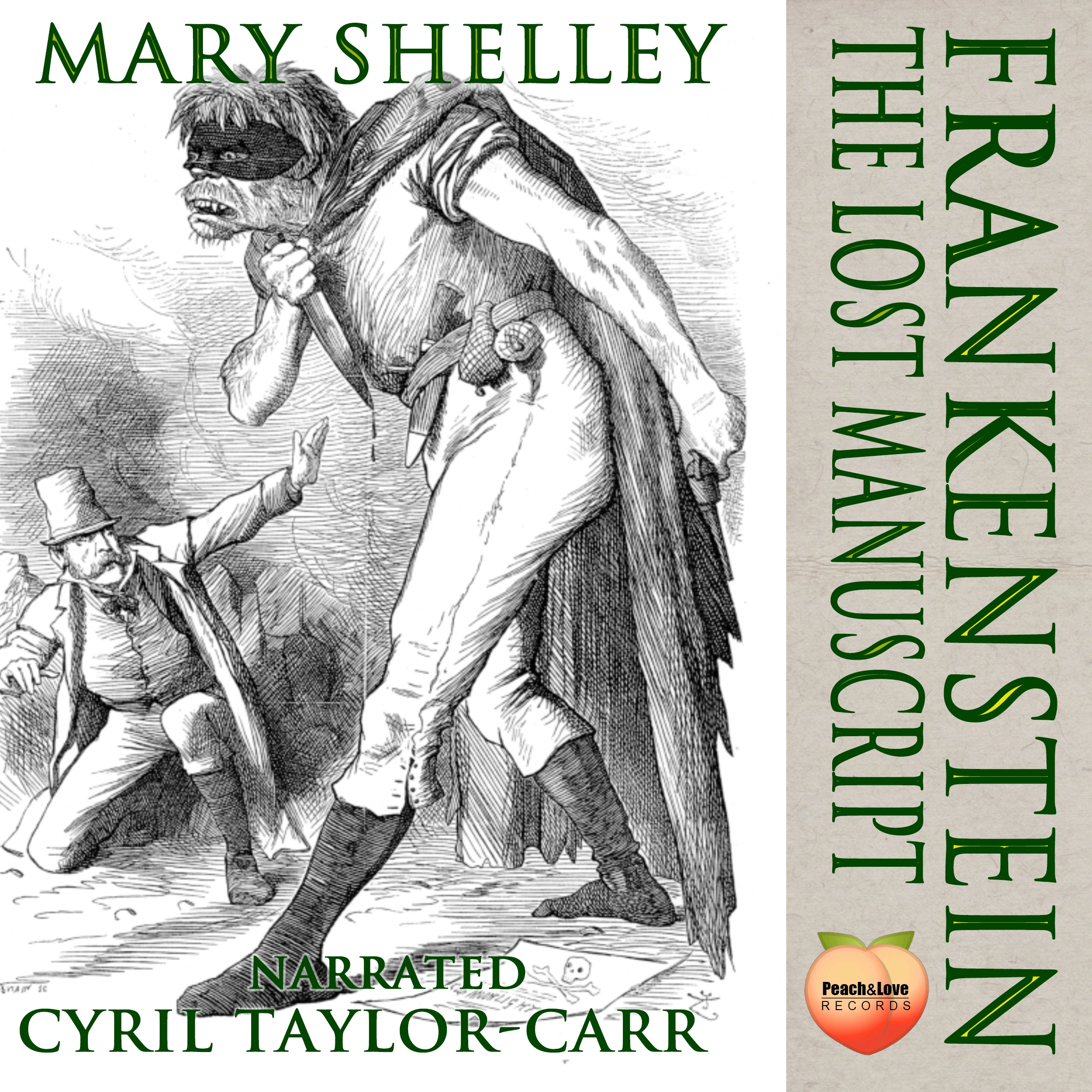 Frankenstein Audiobook by Mary Shelley