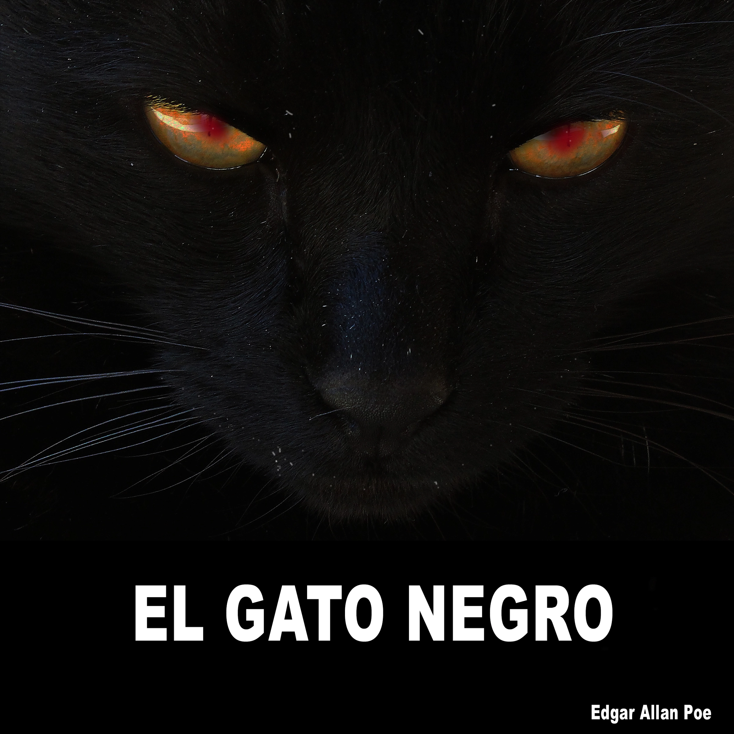 EL Gato Negro by Edgar Allan Poe