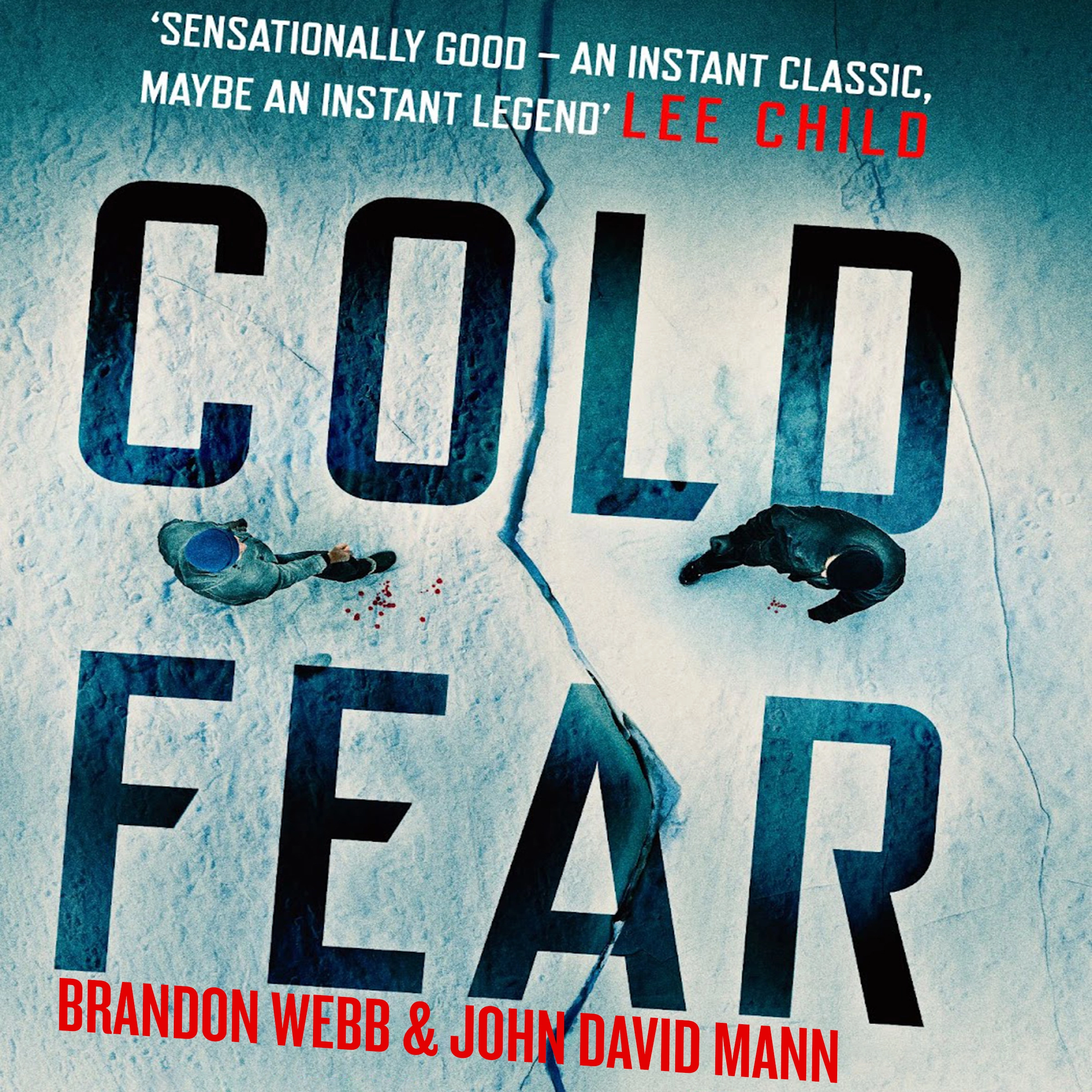 Cold Fear: A Thriller Audiobook by John David Mann