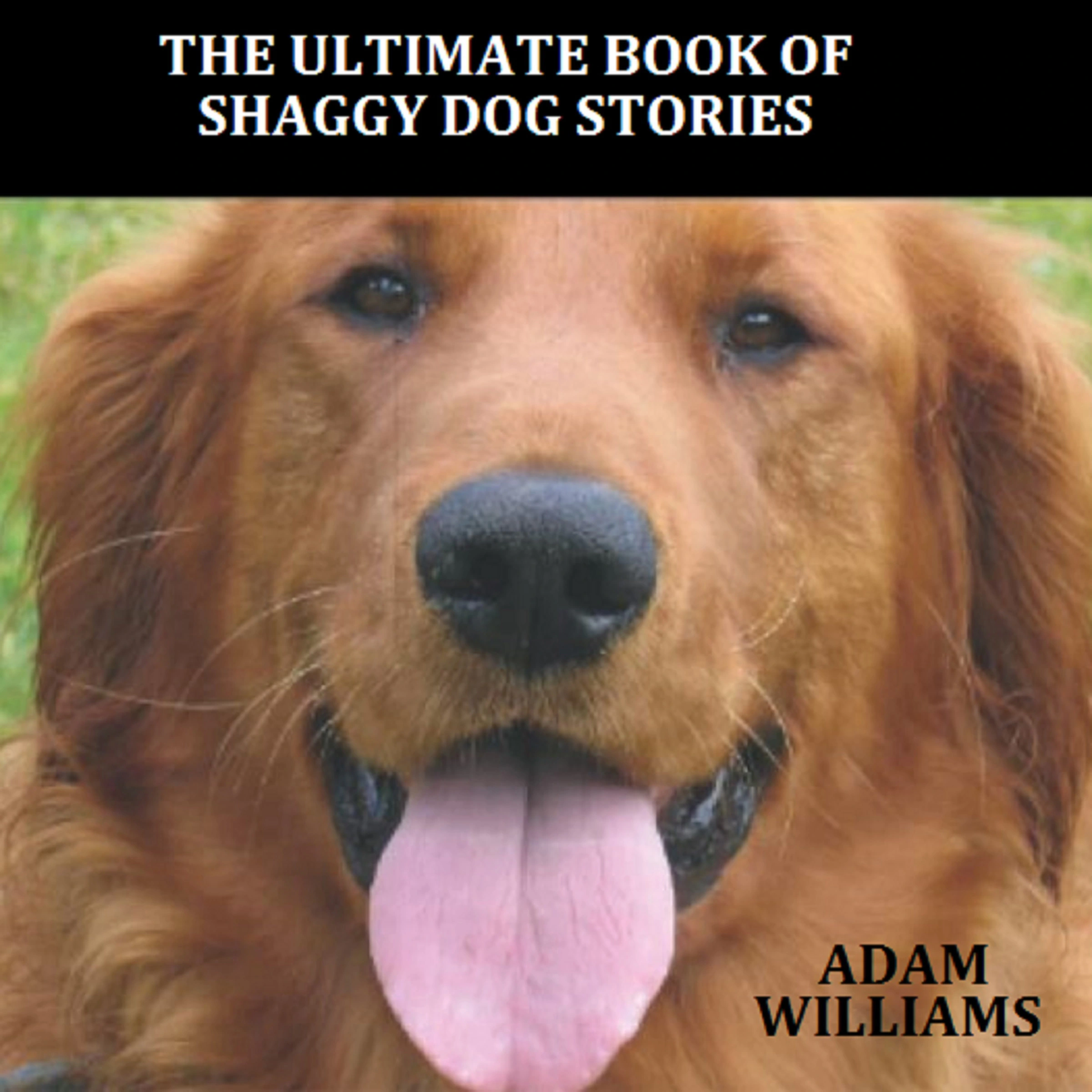 The Ultimate Book of Shaggy Dog Stories by Adam Williams Audiobook