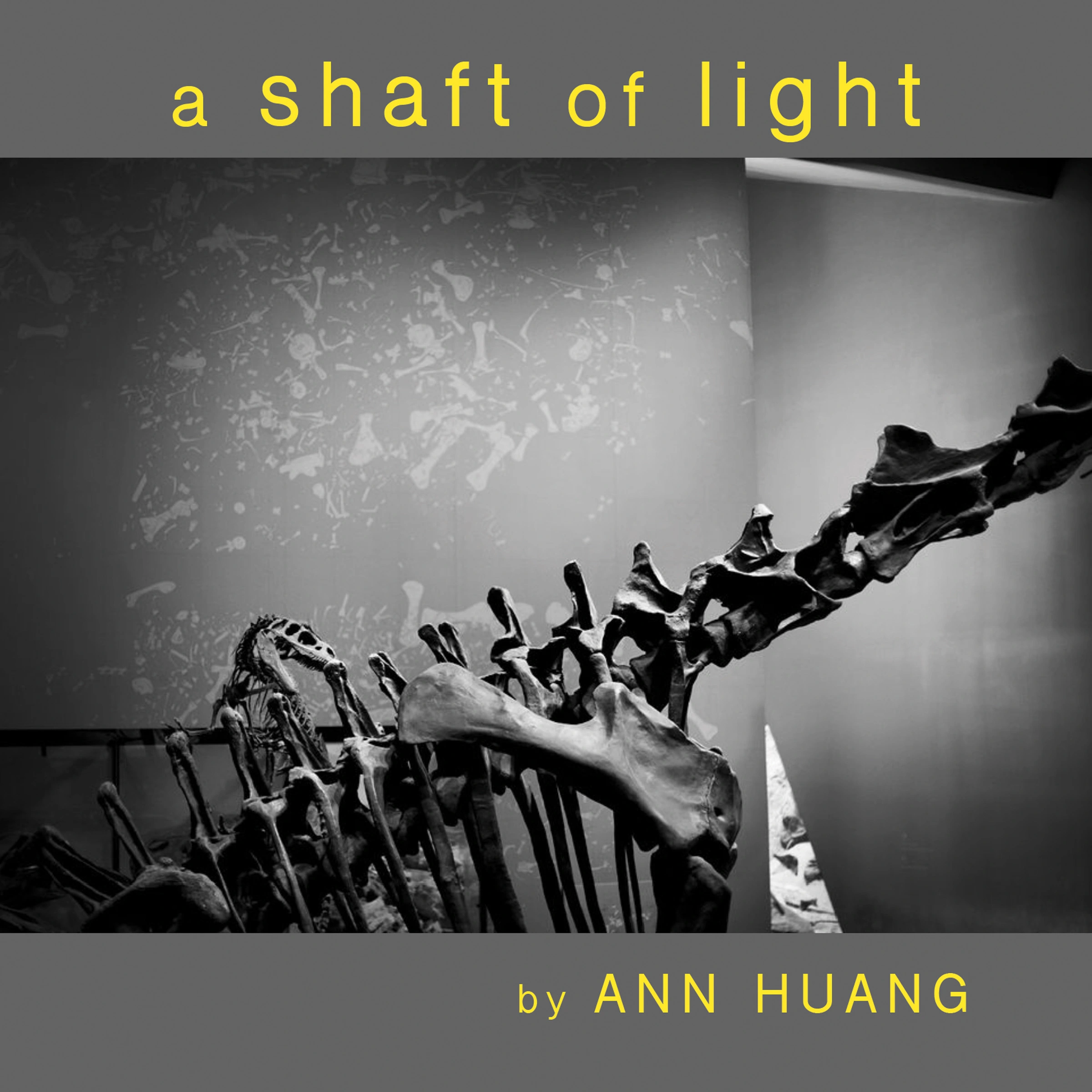 a Shaft of Light Audiobook by Ann Huang