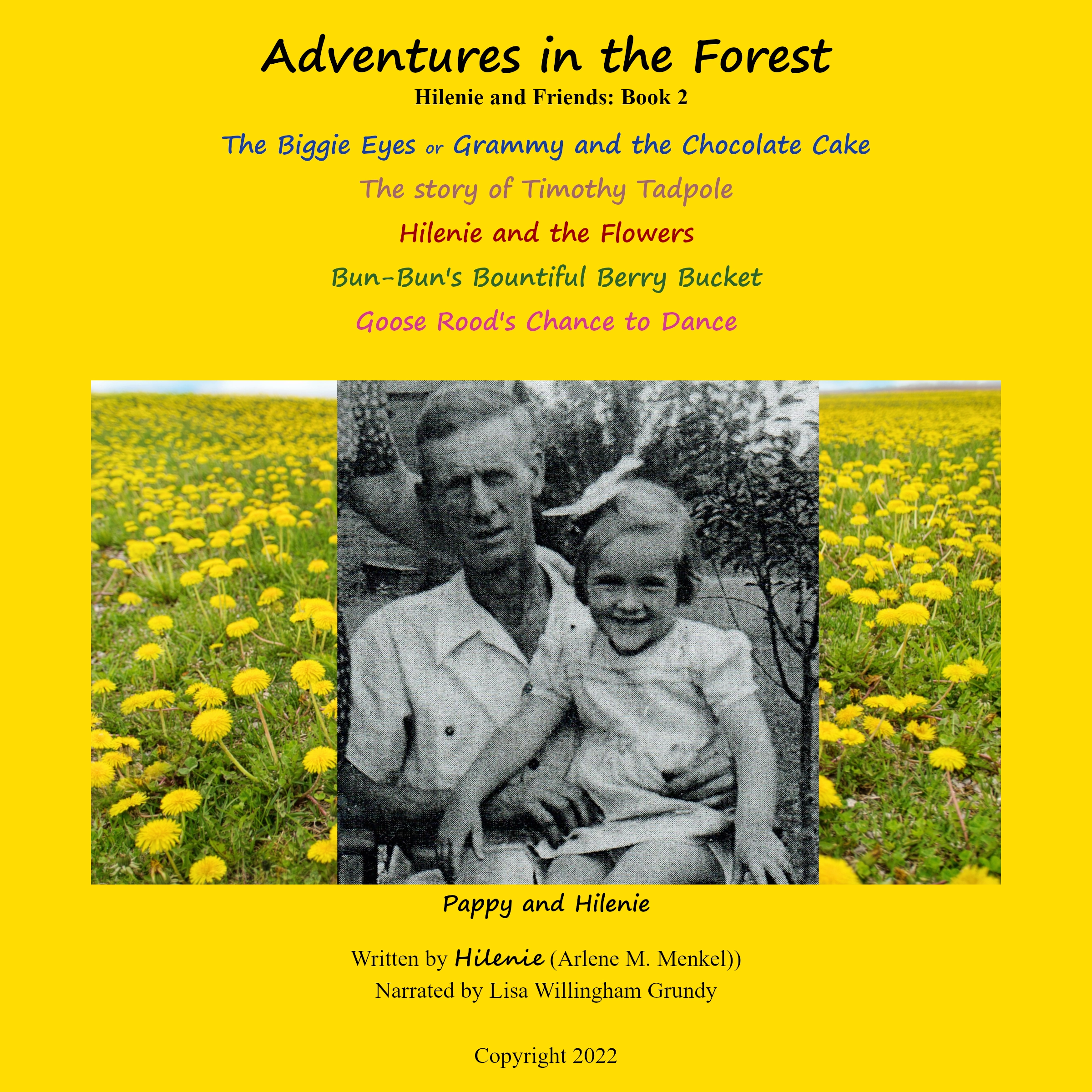 Adventures in the Forest by Hilenie Audiobook