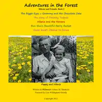 Adventures in the Forest Audiobook by Hilenie