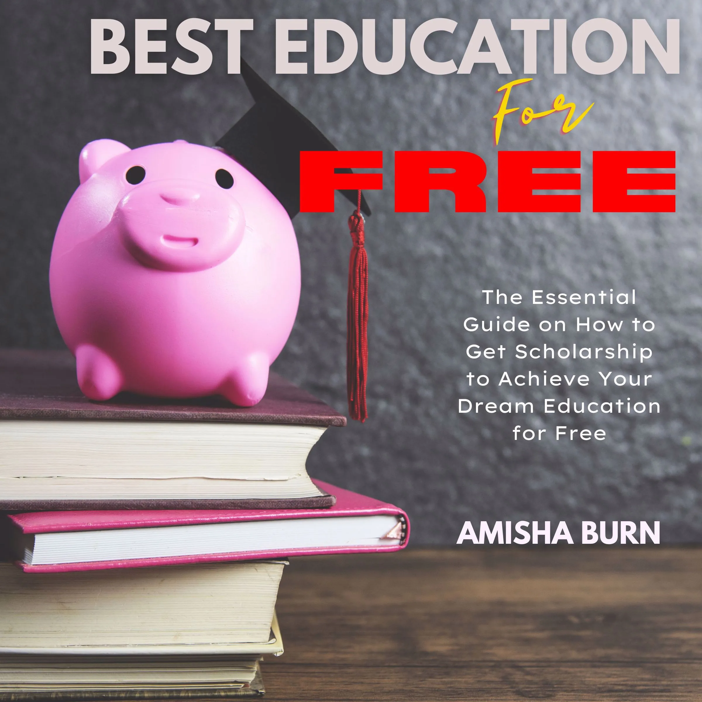 Best Education for Free by Amisha Burn Audiobook