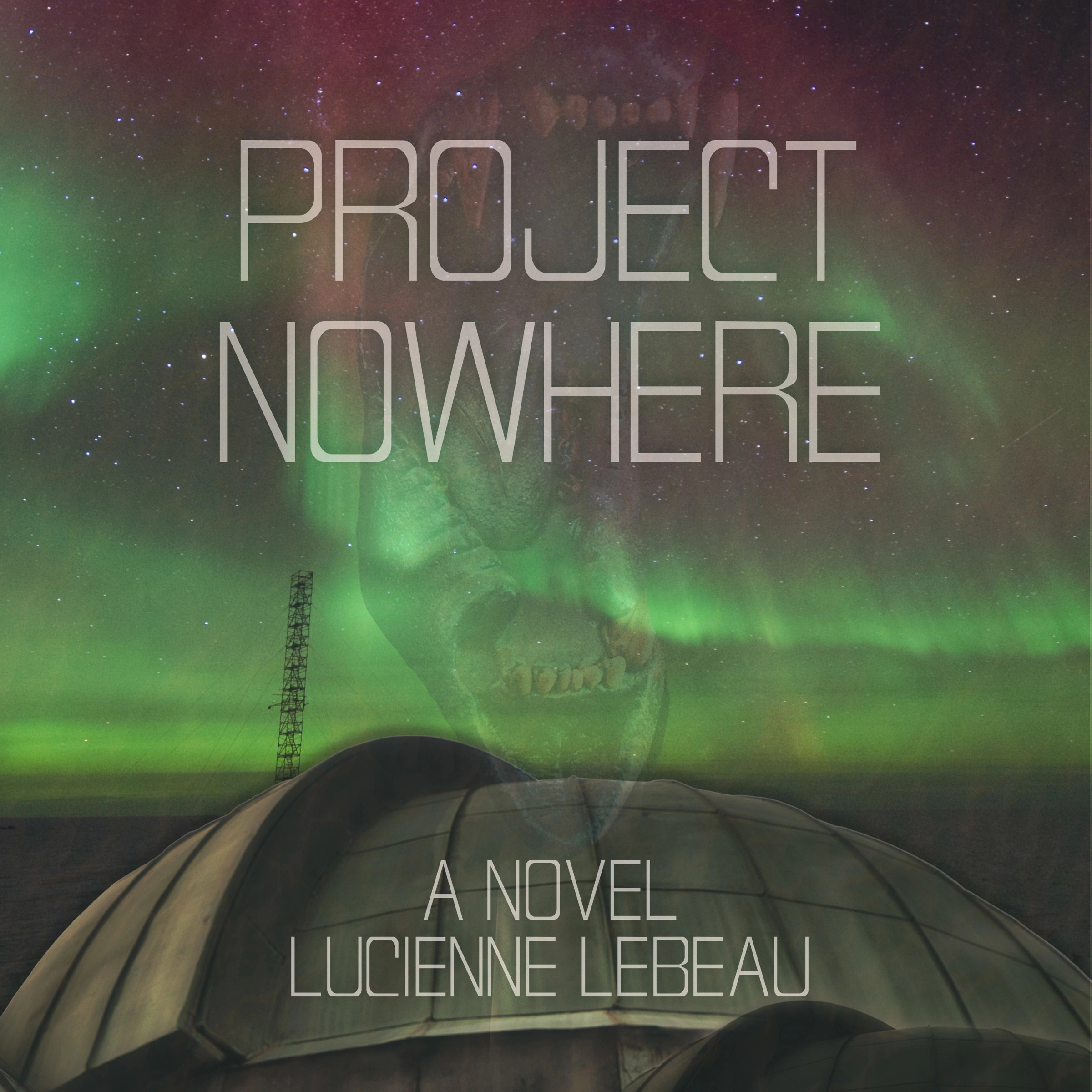 Project Nowhere by Lucienne LeBeau Audiobook