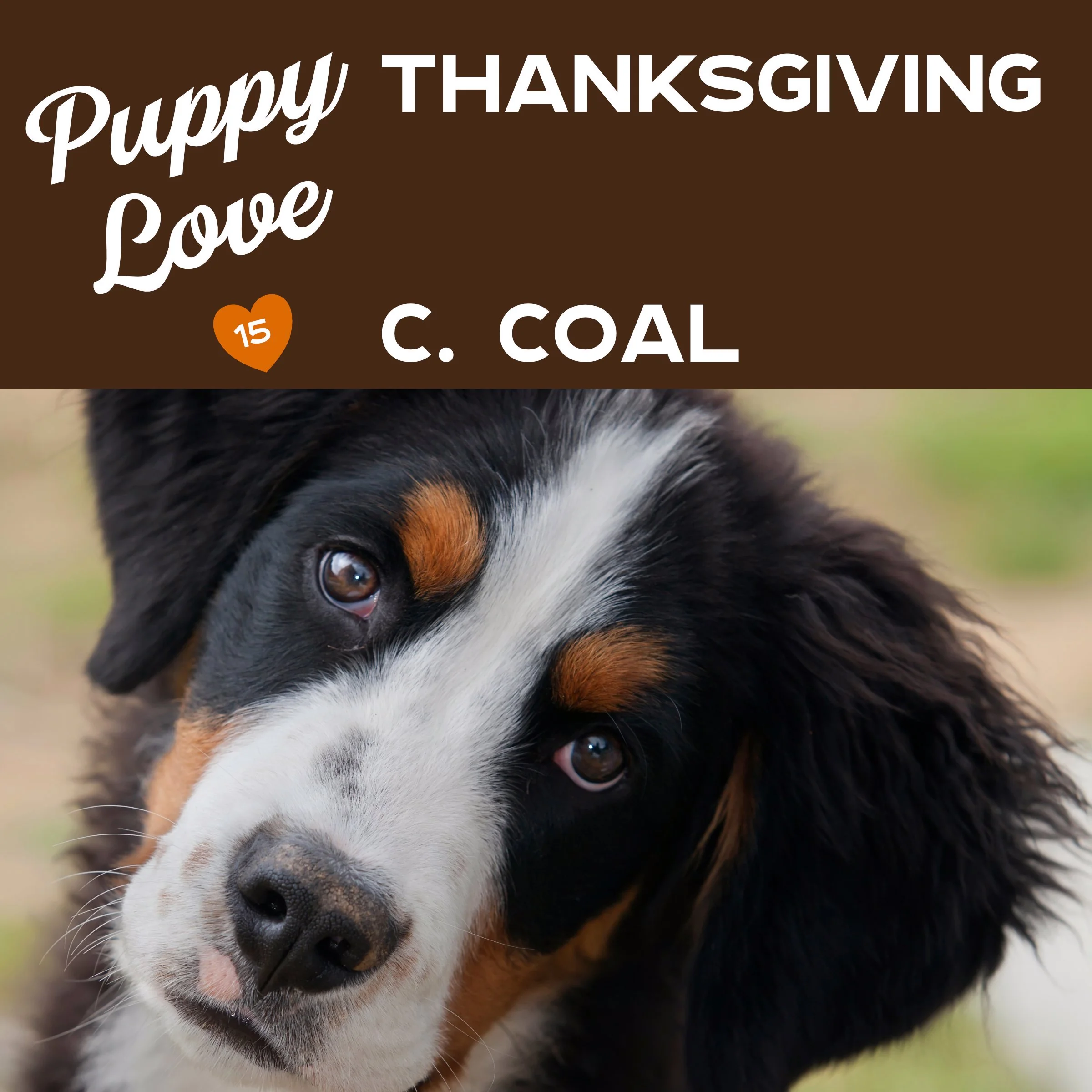 Puppy Love Thanksgiving by C. Coal Audiobook