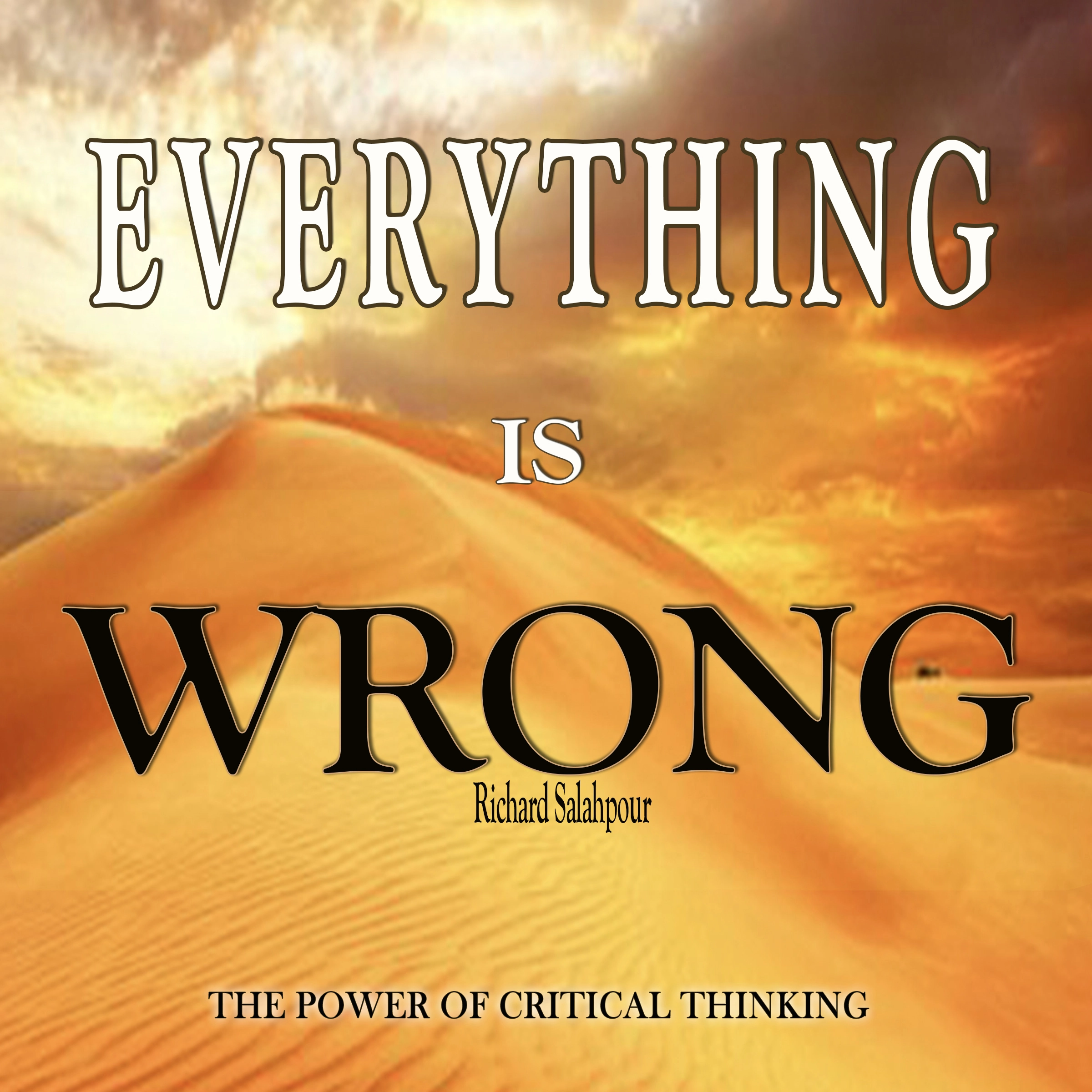 Everything is wrong Audiobook by Richard Salahpour