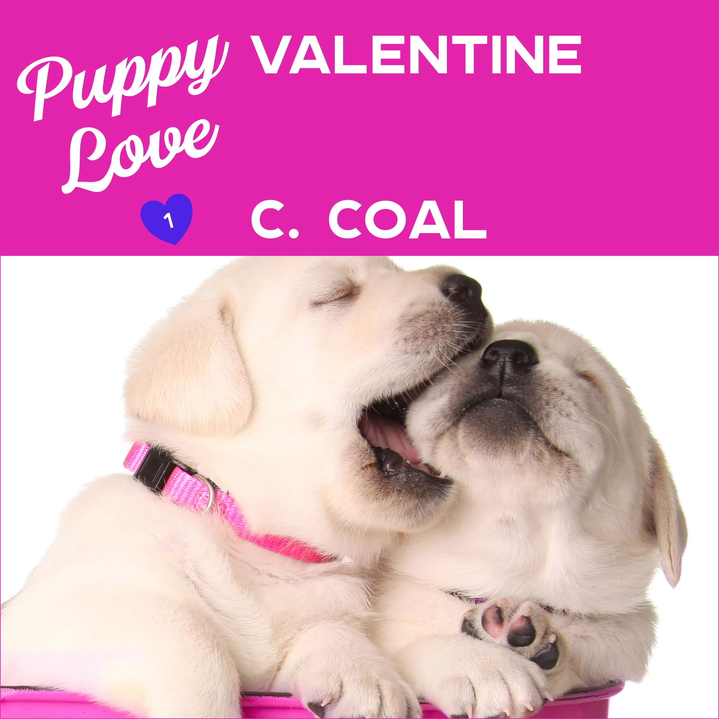 Puppy Love Valentine by C. Coal