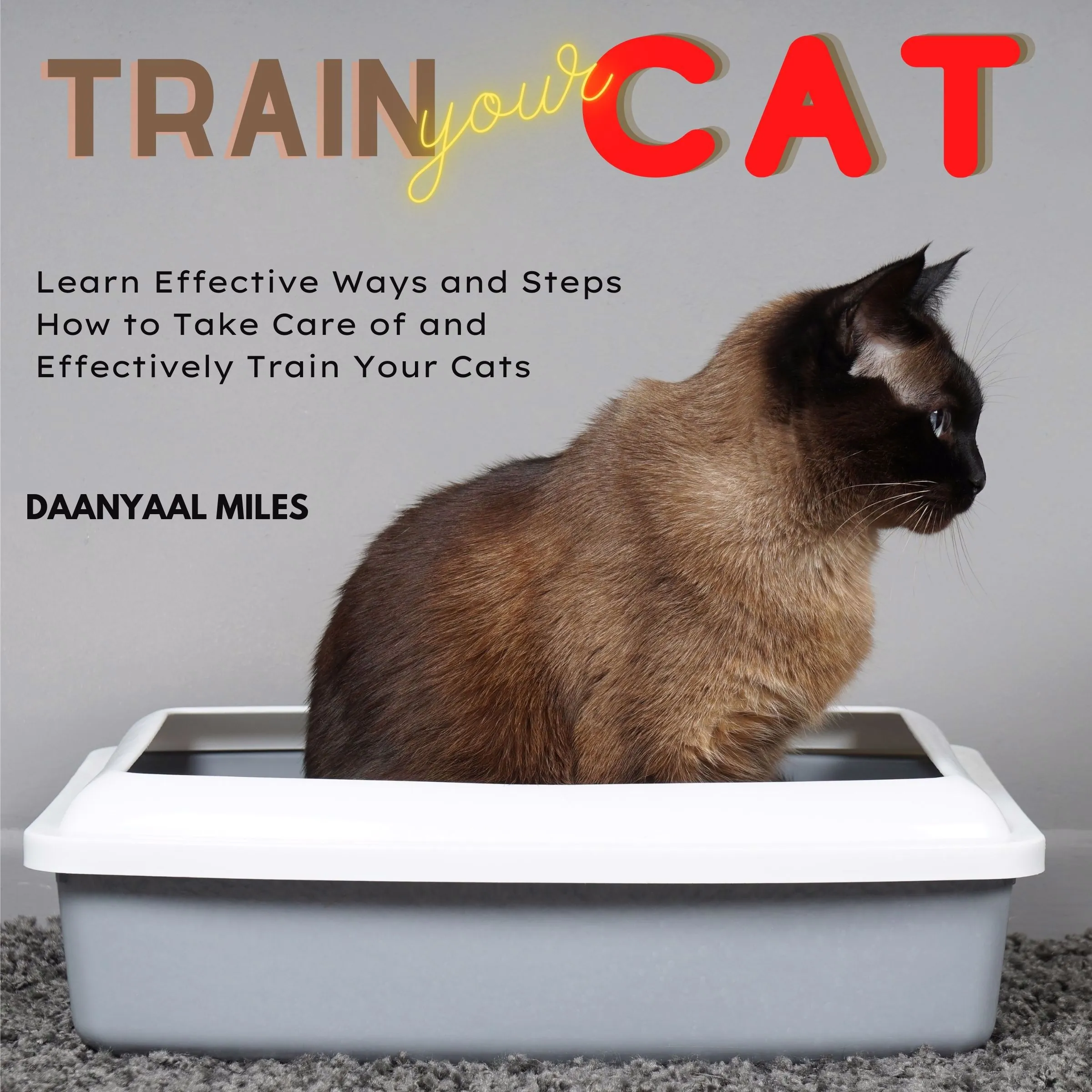 Train Your Cat by Daanyaal Miles