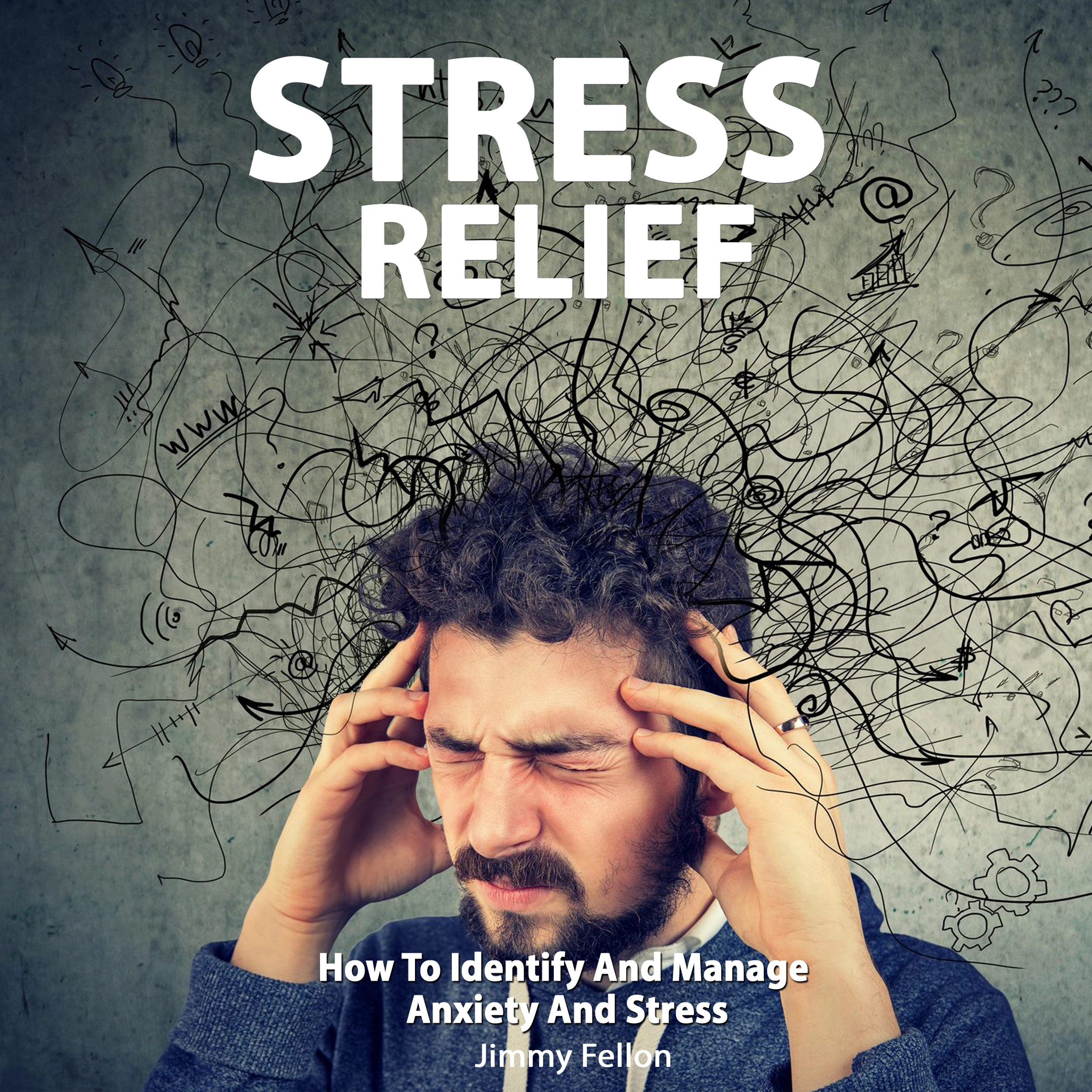 Stress Relief Audiobook by Jimmy Fellon