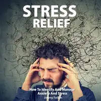 Stress Relief Audiobook by Jimmy Fellon