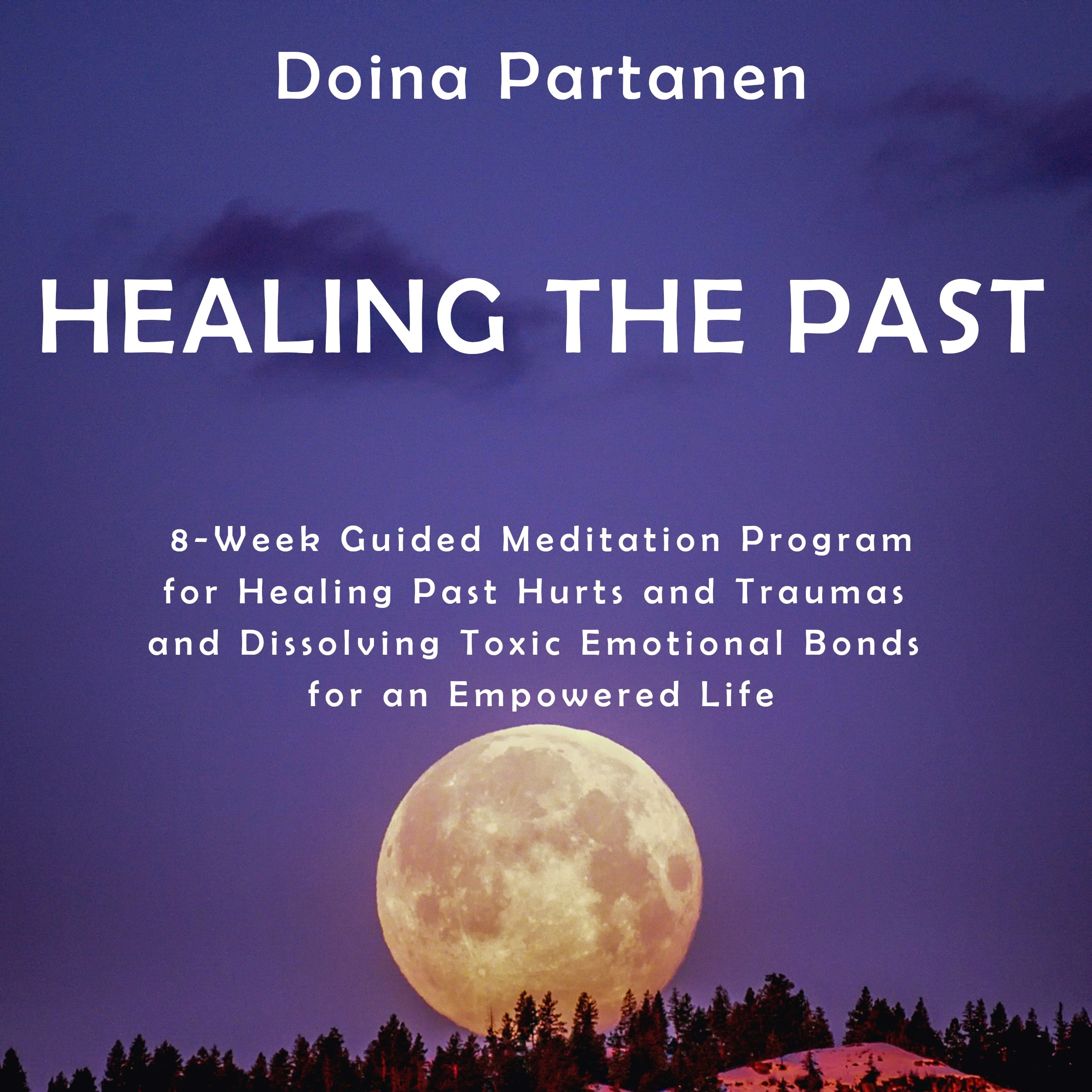 Healing the Past by Doina Partanen