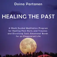 Healing the Past Audiobook by Doina Partanen
