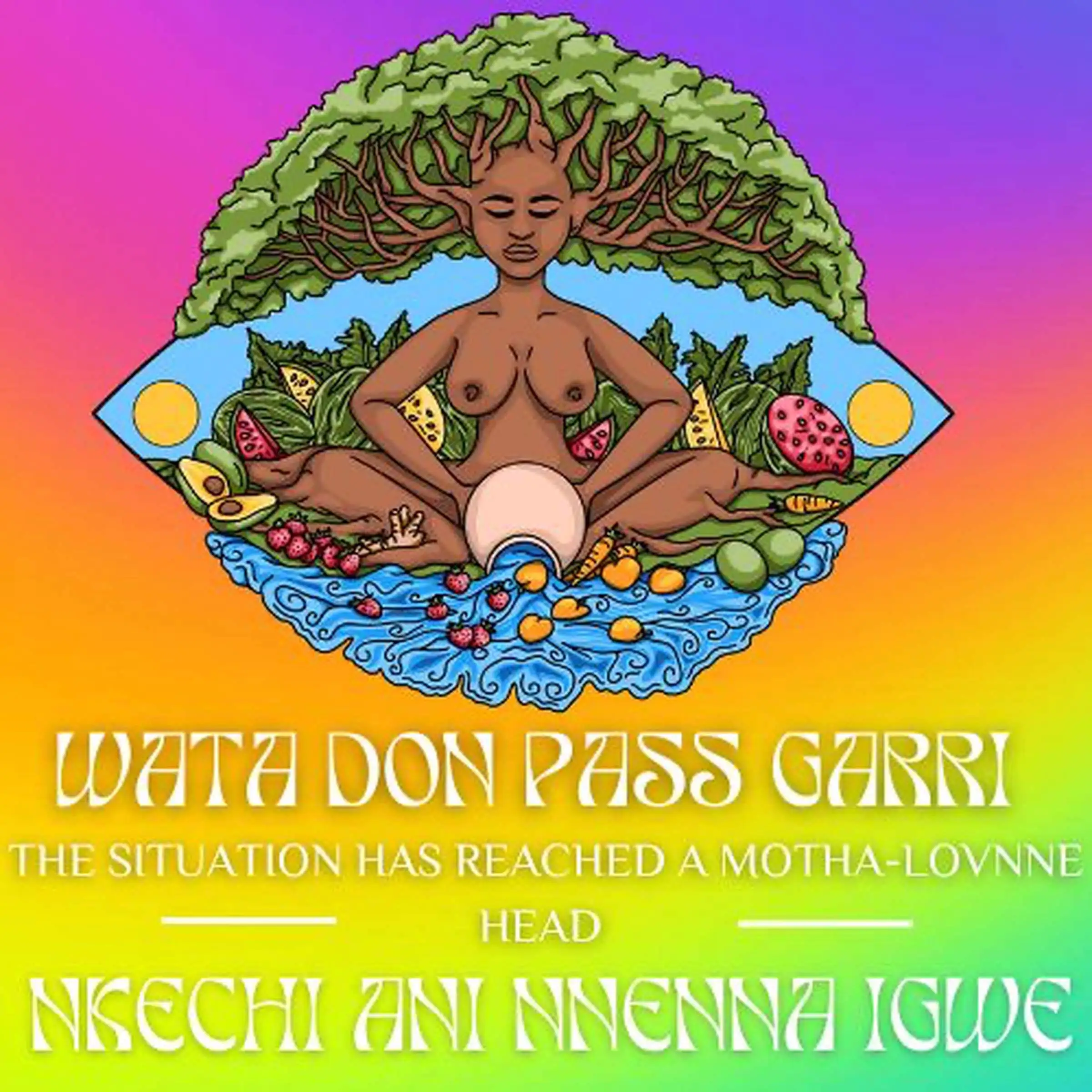 Wata Don Pass Garri by Nkechi Ani Nnenna Igwe Audiobook