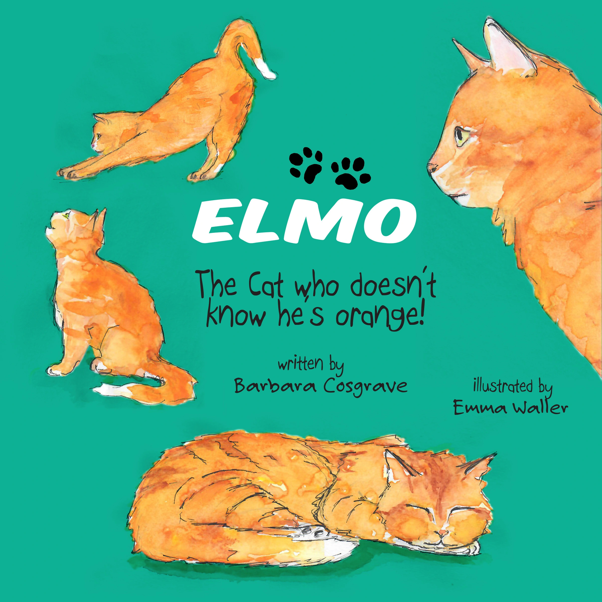 Elmo Audiobook by Barbara Cosgrave