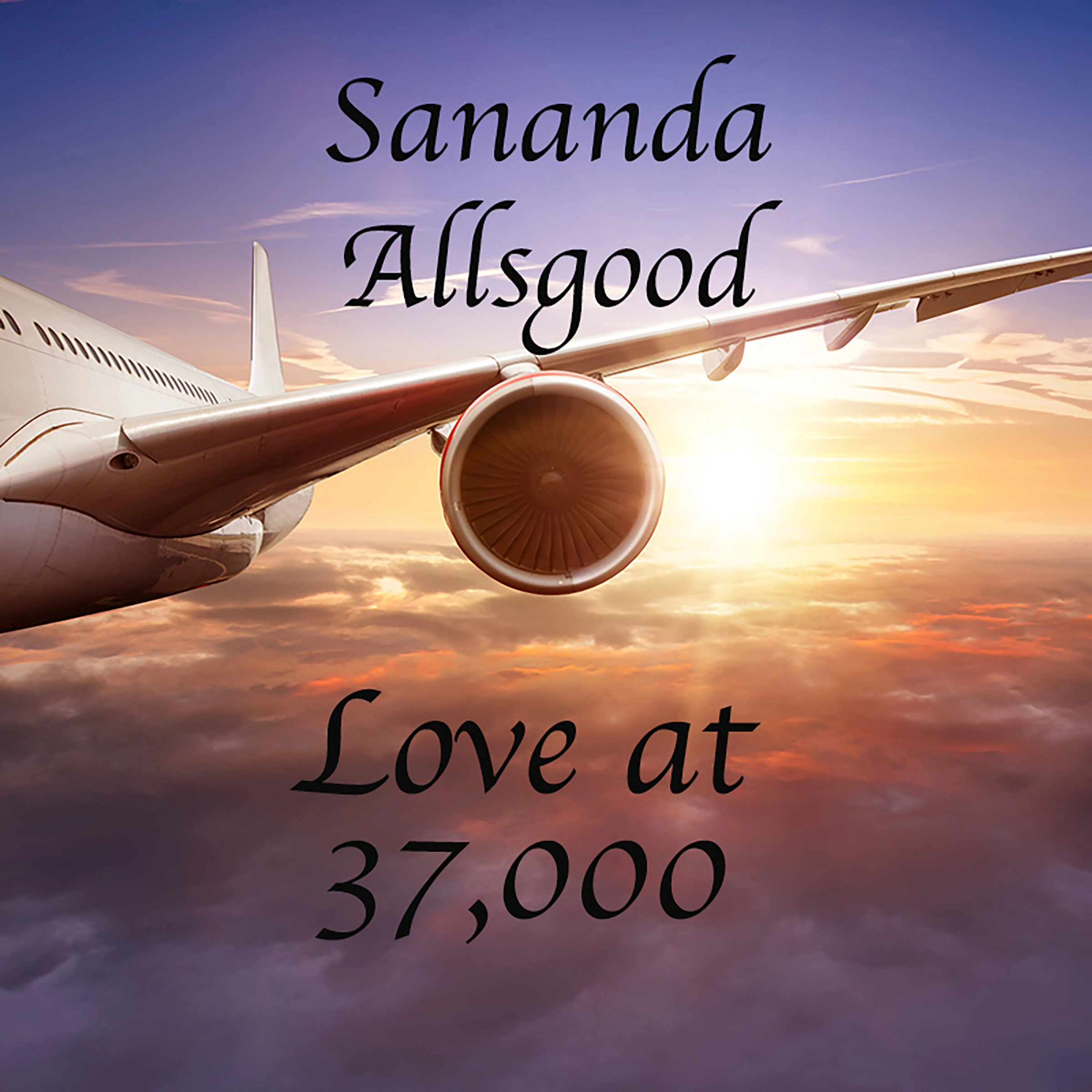 Love at 37,000 by Sananda Allsgood