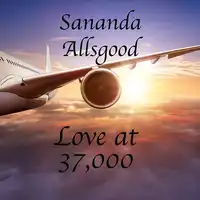 Love at 37,000 Audiobook by Sananda Allsgood