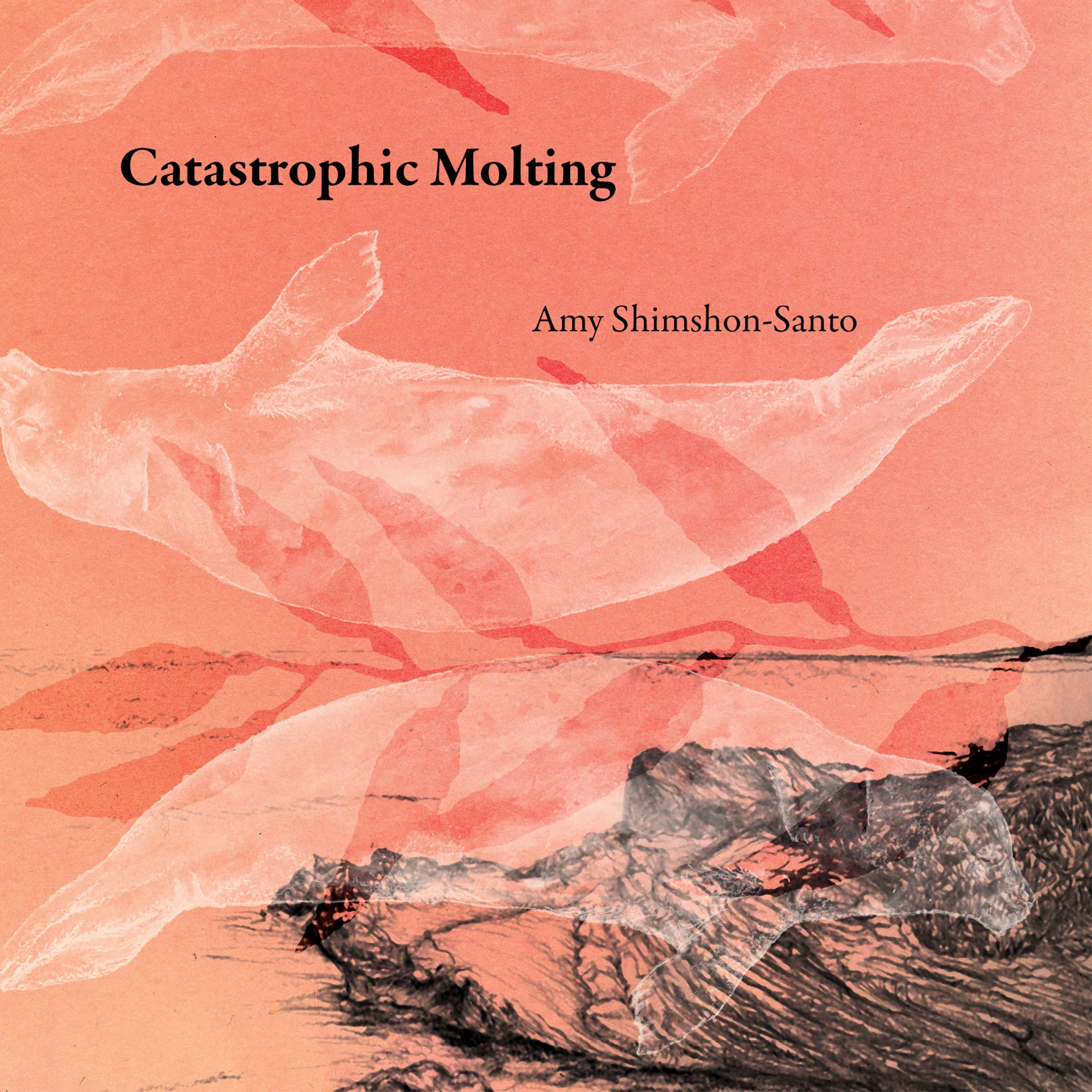 Catastrophic Molting by Amy Shimshon-Santo Audiobook