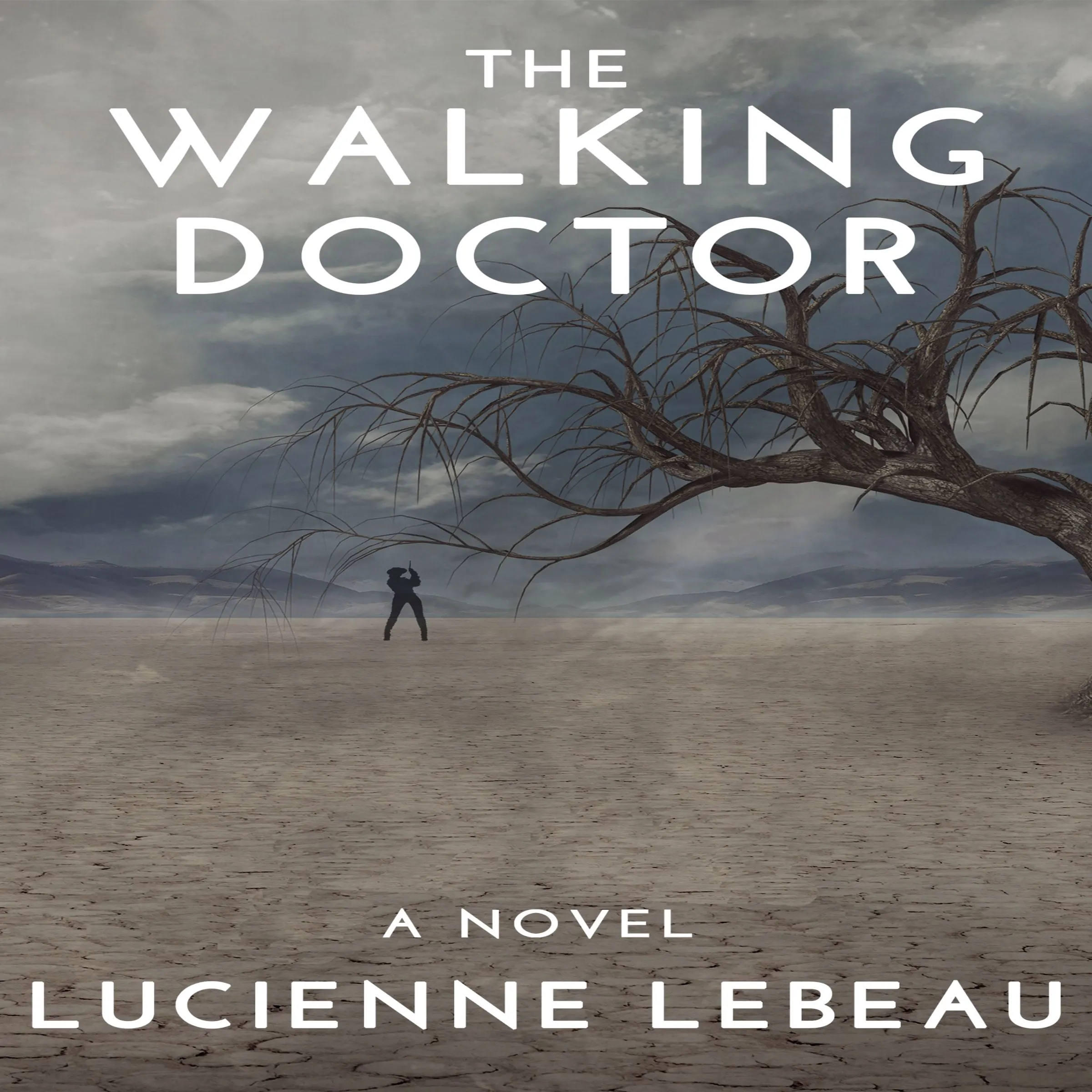 The Walking Doctor Audiobook by Lucienne LeBeau