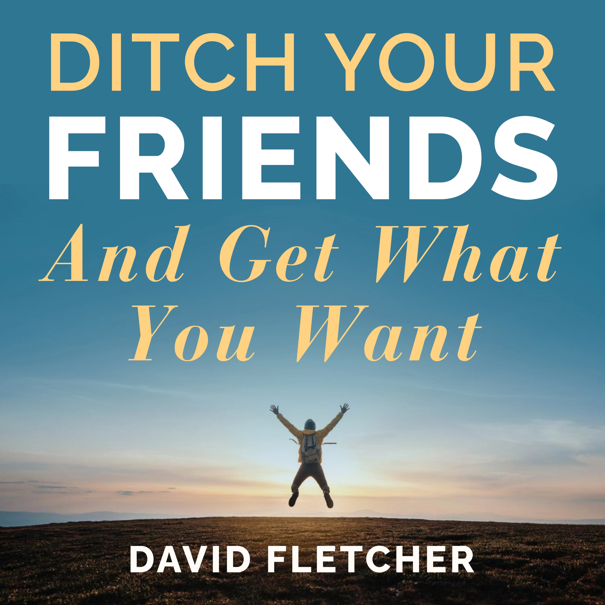 Ditch Your Friends And Get What You Want by David Fletcher