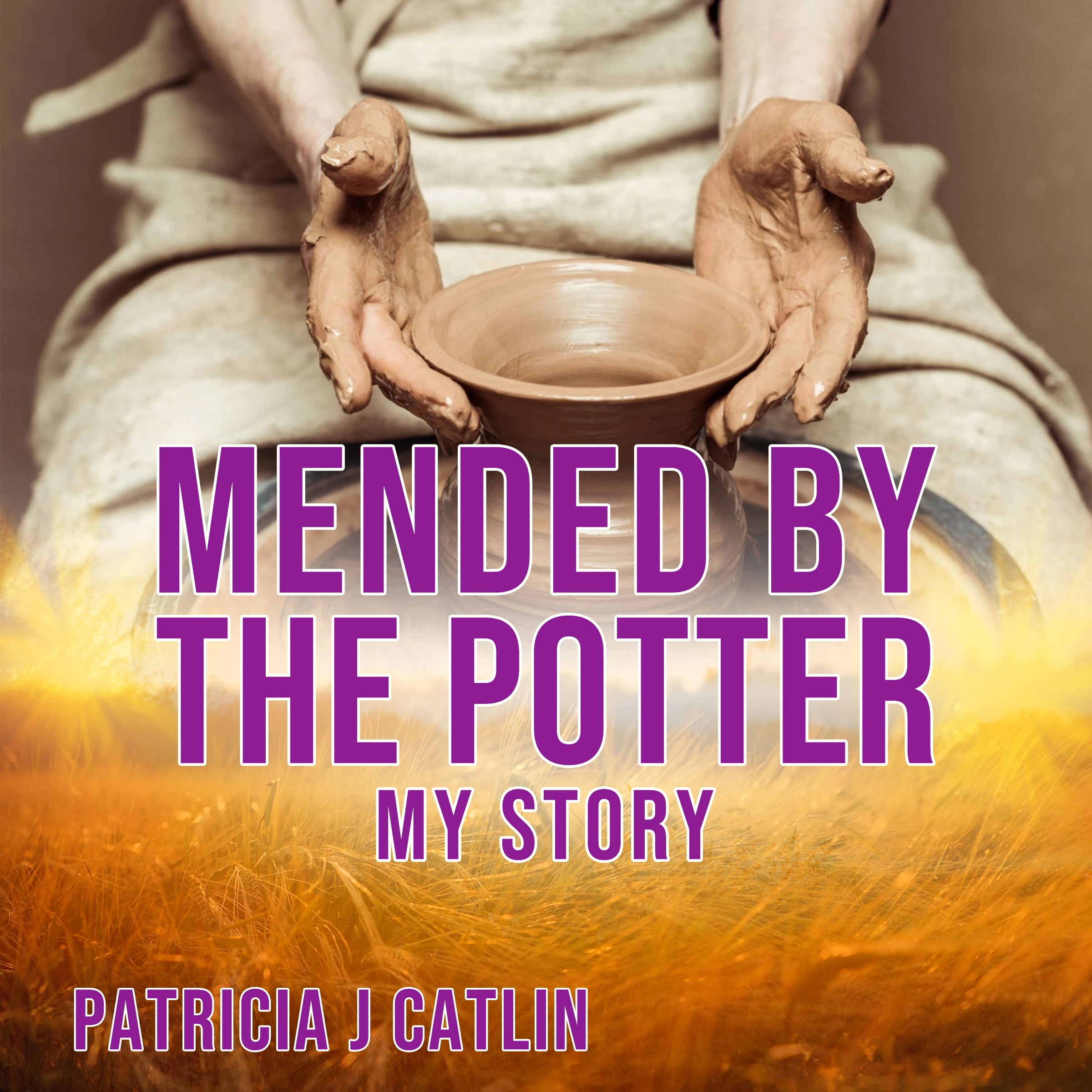 Mended by the Potter Audiobook by Patricia J Catlin