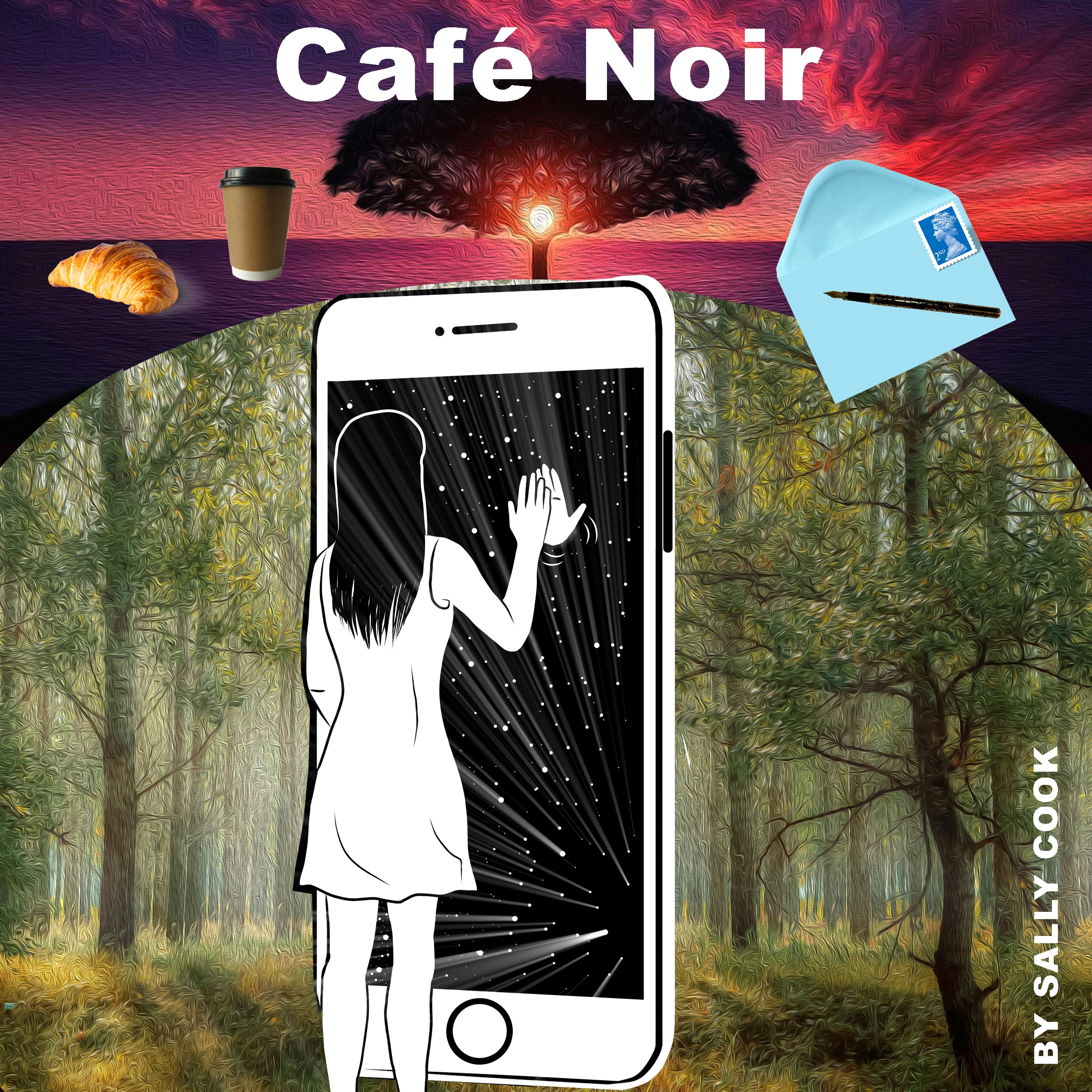 Cafe Noir by Sally Cook Audiobook