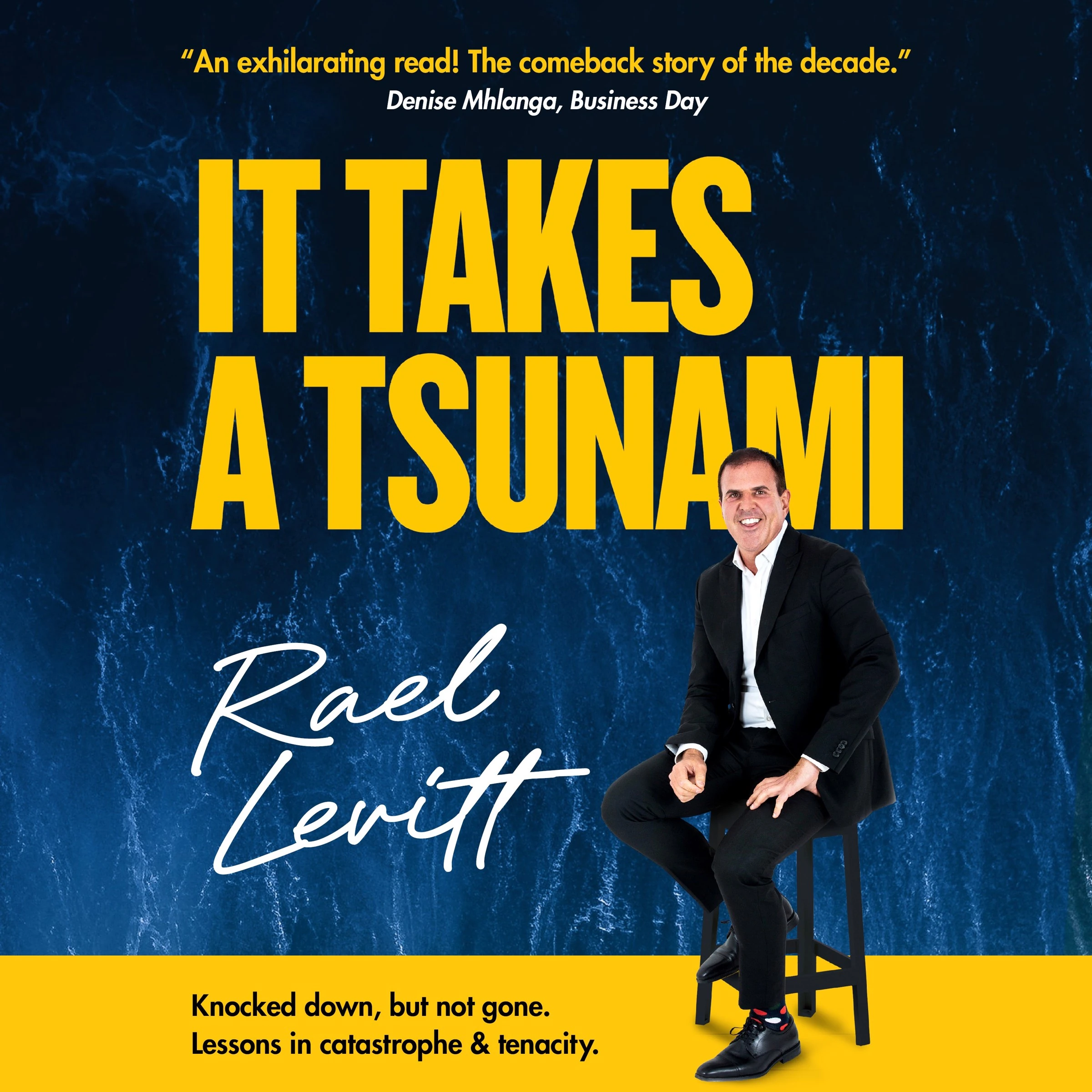 It takes a Tsunami by Rael Levitt Audiobook