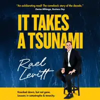 It takes a Tsunami Audiobook by Rael Levitt